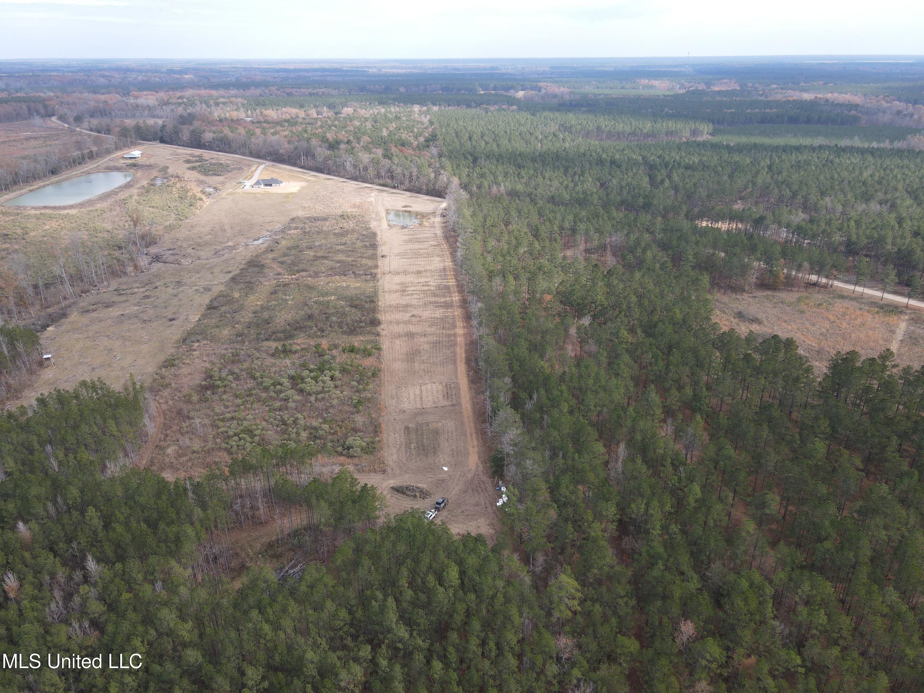 Coal Bluff Road, Lena, Mississippi image 16