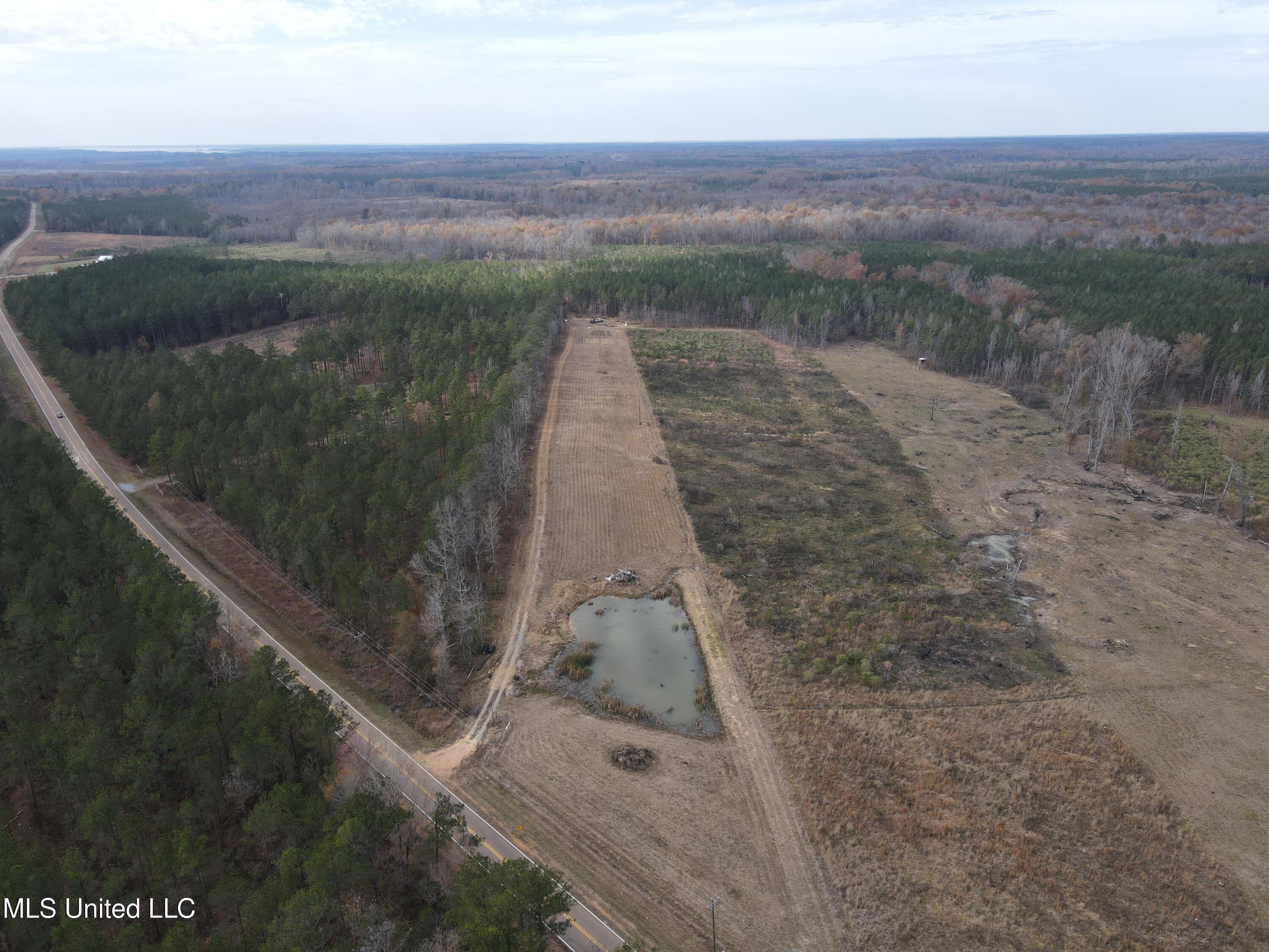 Coal Bluff Road, Lena, Mississippi image 18