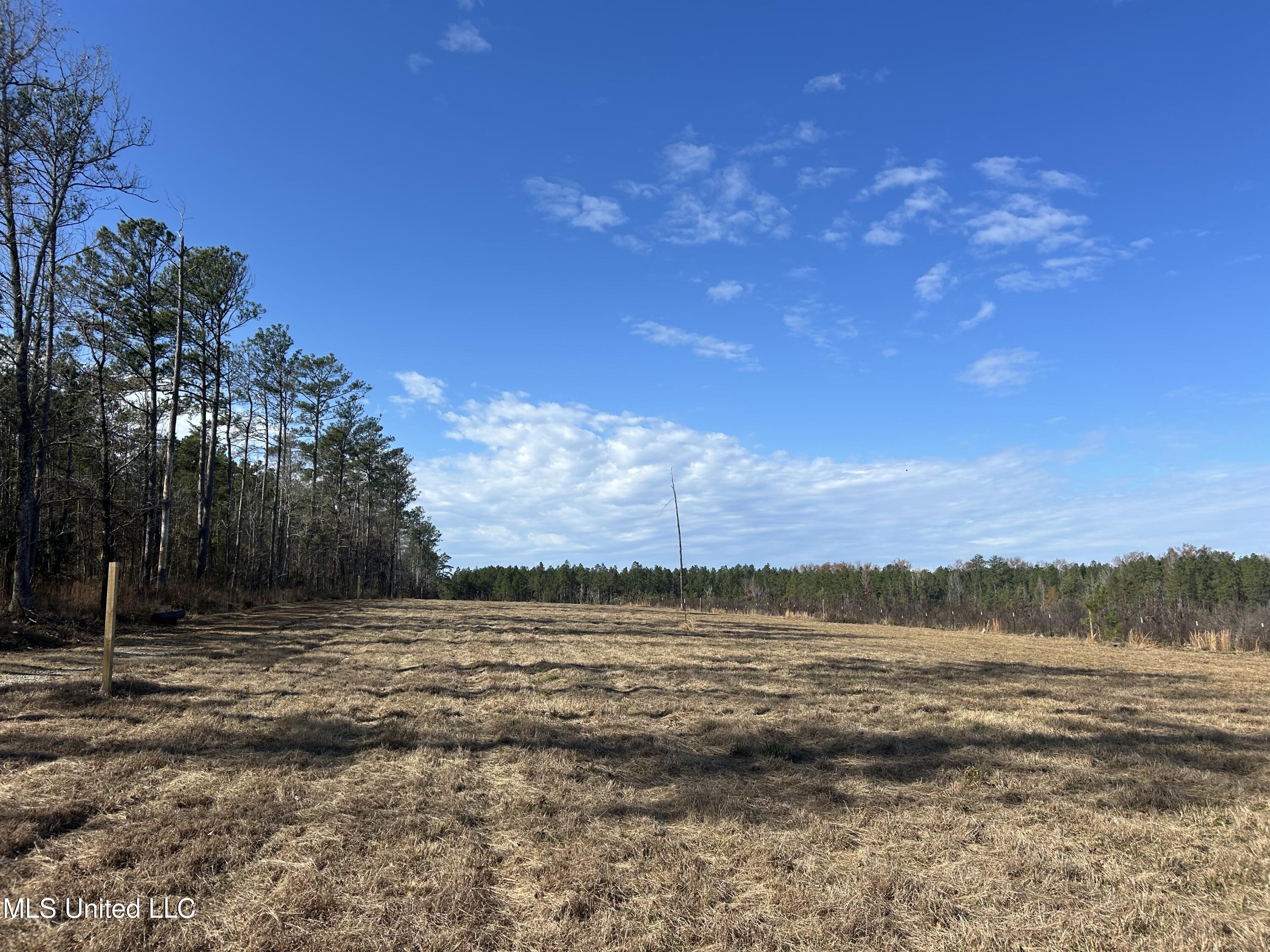 Coal Bluff Road, Lena, Mississippi image 22