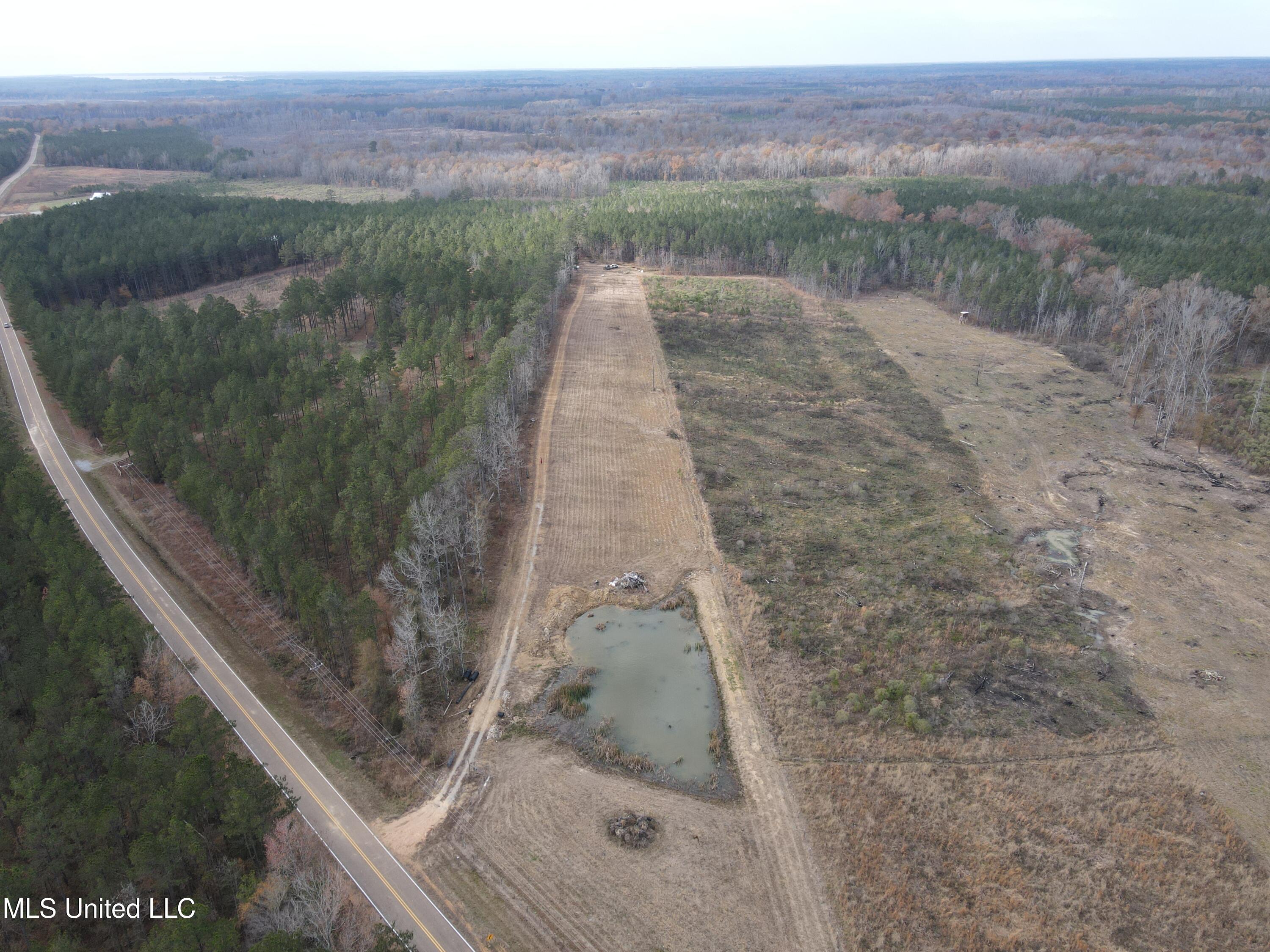 Coal Bluff Road, Lena, Mississippi image 19