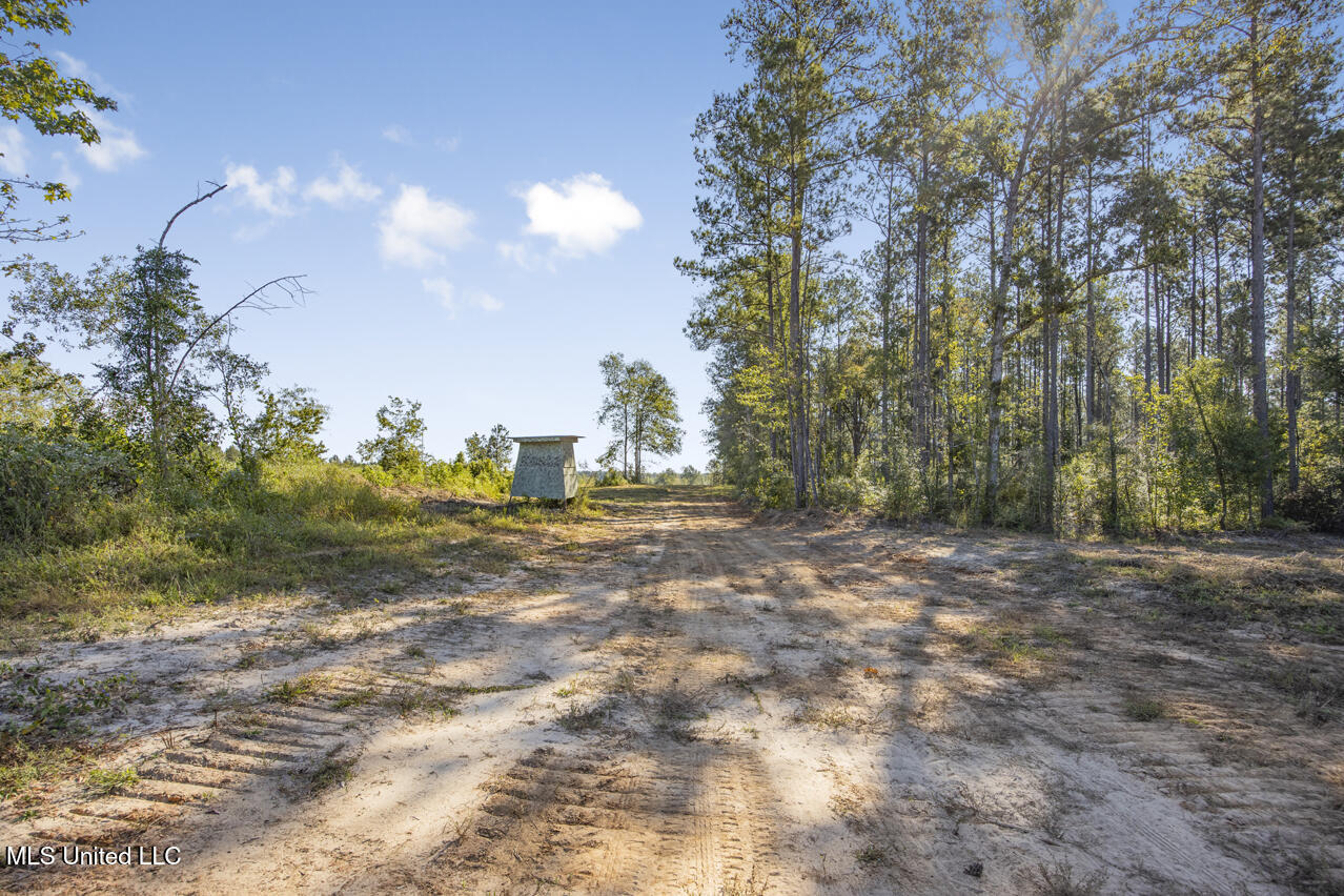 1998 Berwick Cassels Road, Liberty, Mississippi image 3