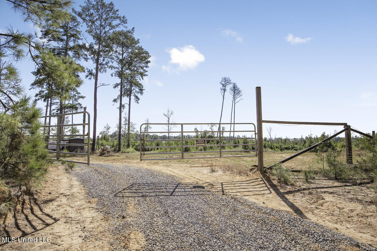 1998 Berwick Cassels Road, Liberty, Mississippi image 4