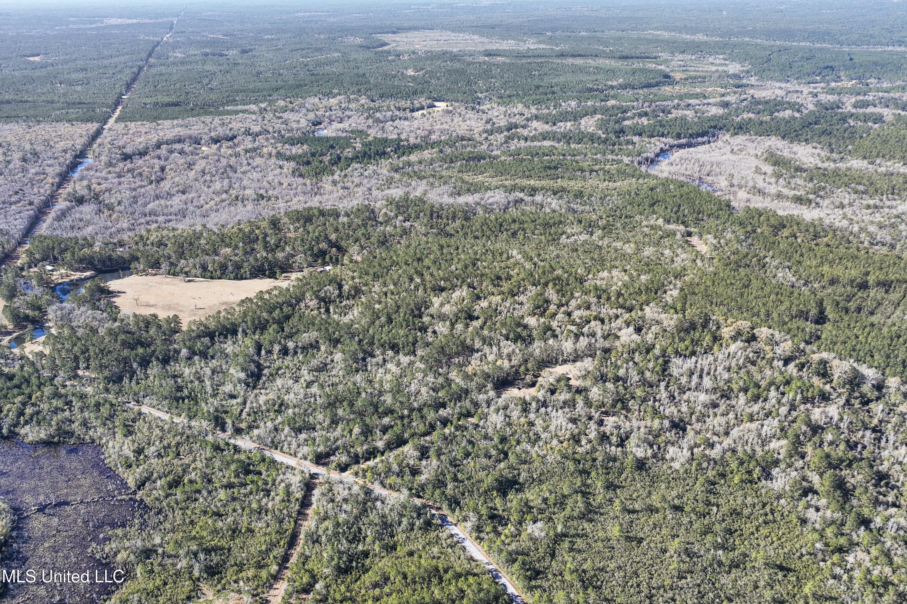 Kit Maples Road, Perkinston, Mississippi image 19