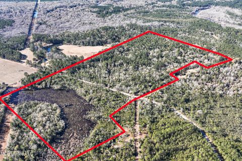 Vacant Land For Sale - Kit Maples Road<br/> George County, Perkinston, MS 39573