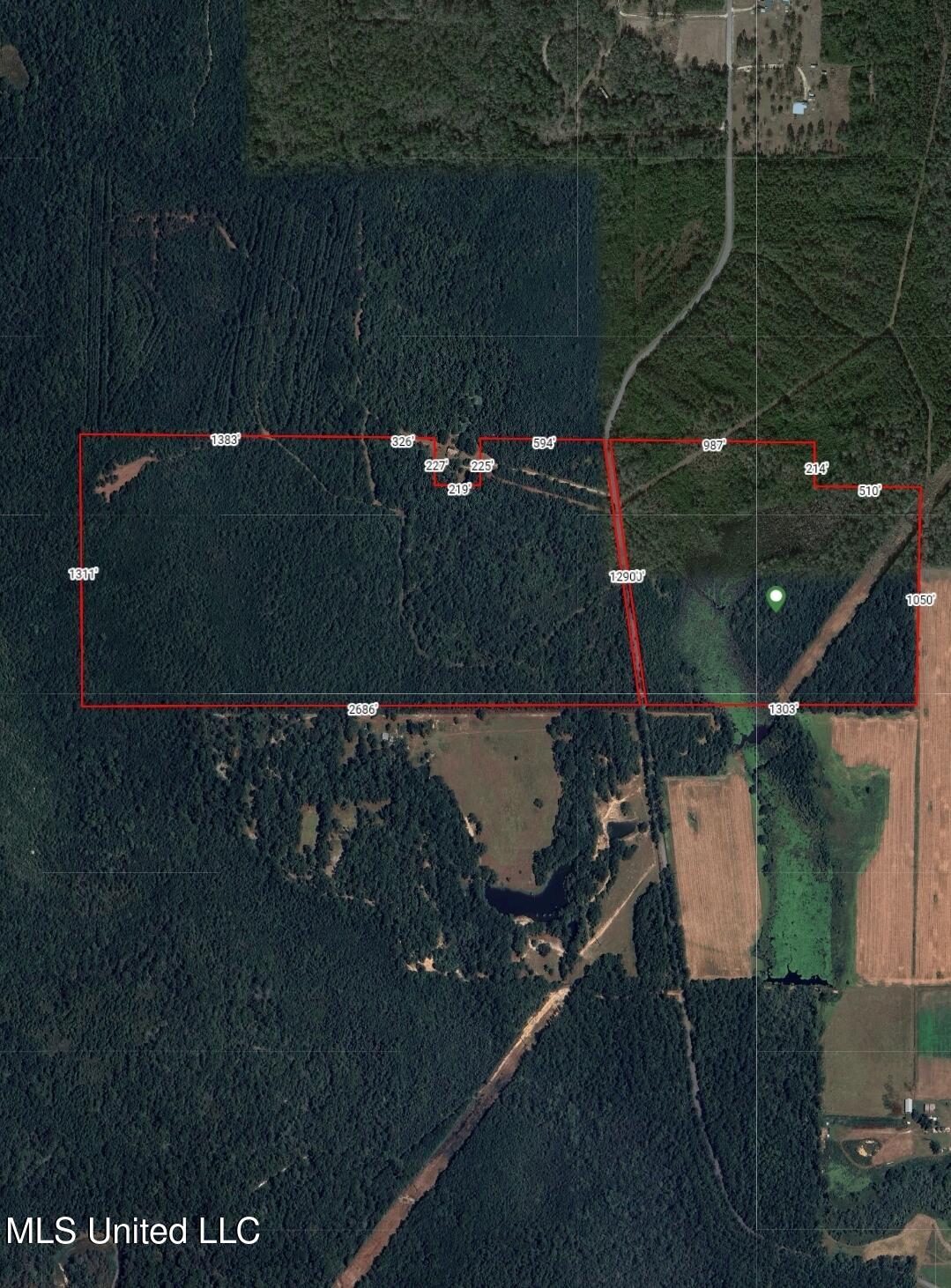 Kit Maples Road, Perkinston, Mississippi image 24