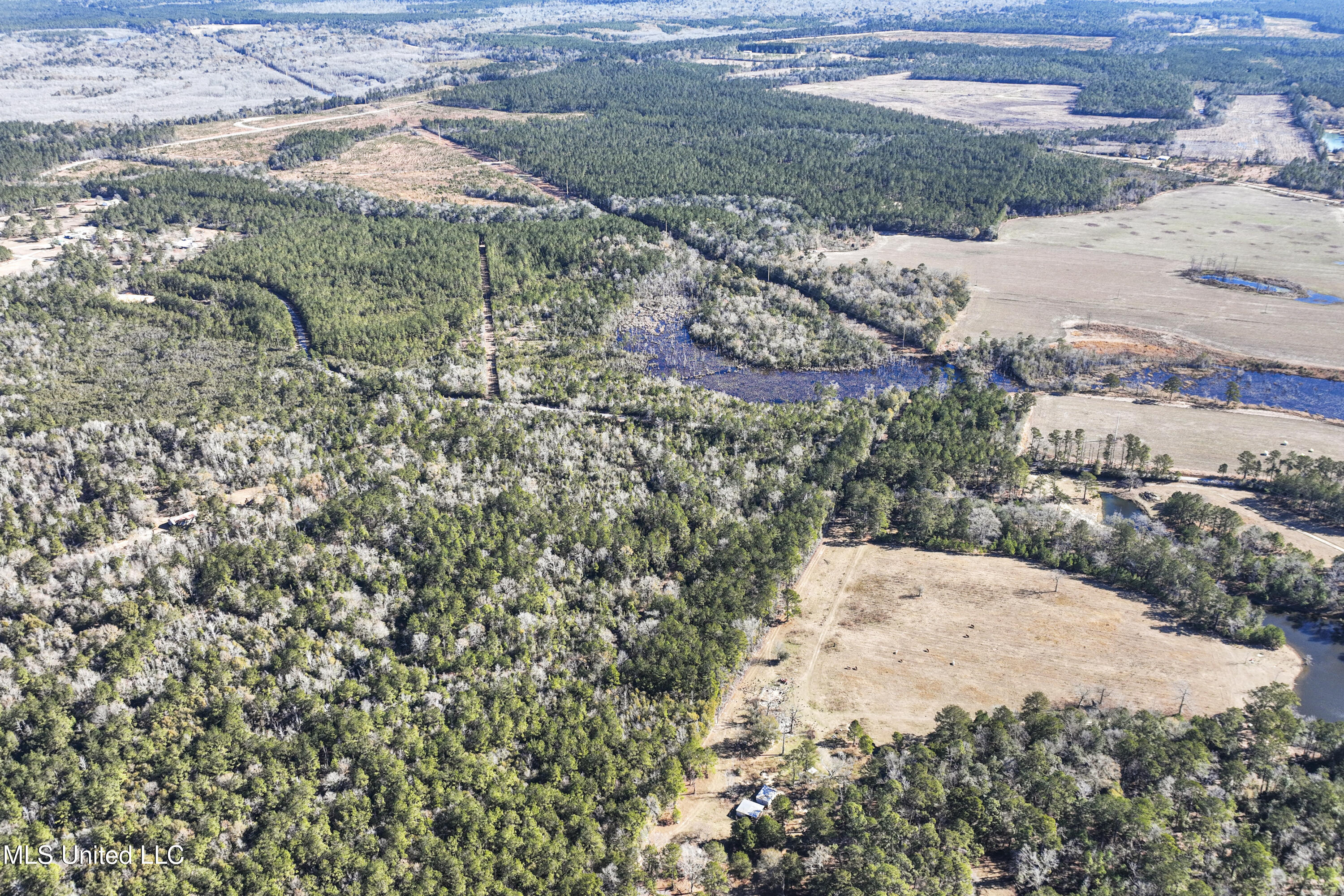 Kit Maples Road, Perkinston, Mississippi image 12