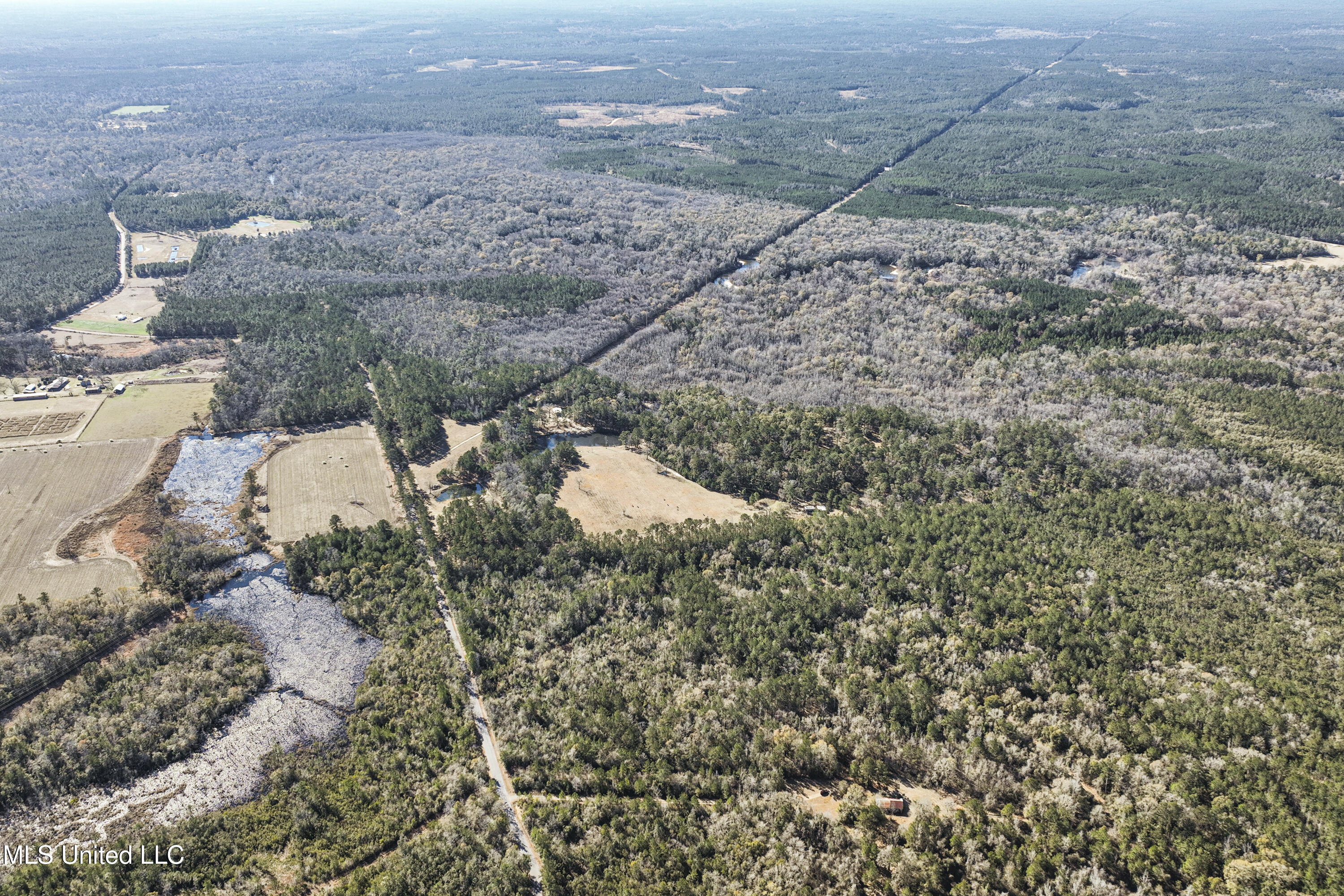 Kit Maples Road, Perkinston, Mississippi image 15