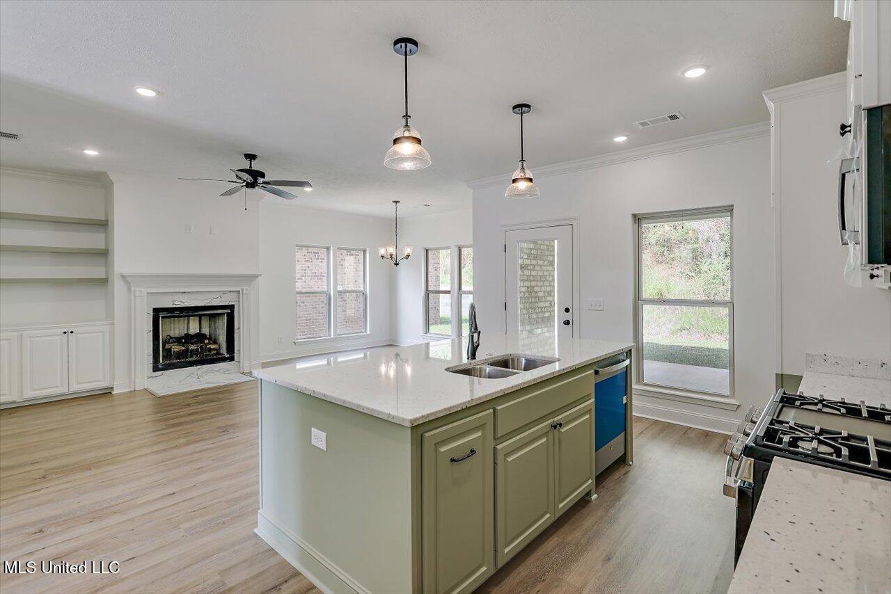 125 Ashley Park Drive, Byram, Mississippi image 13