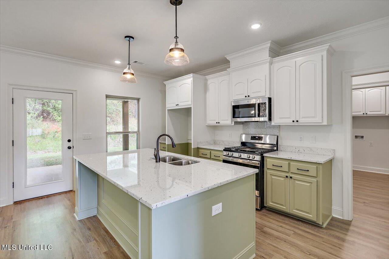 125 Ashley Park Drive, Byram, Mississippi image 14