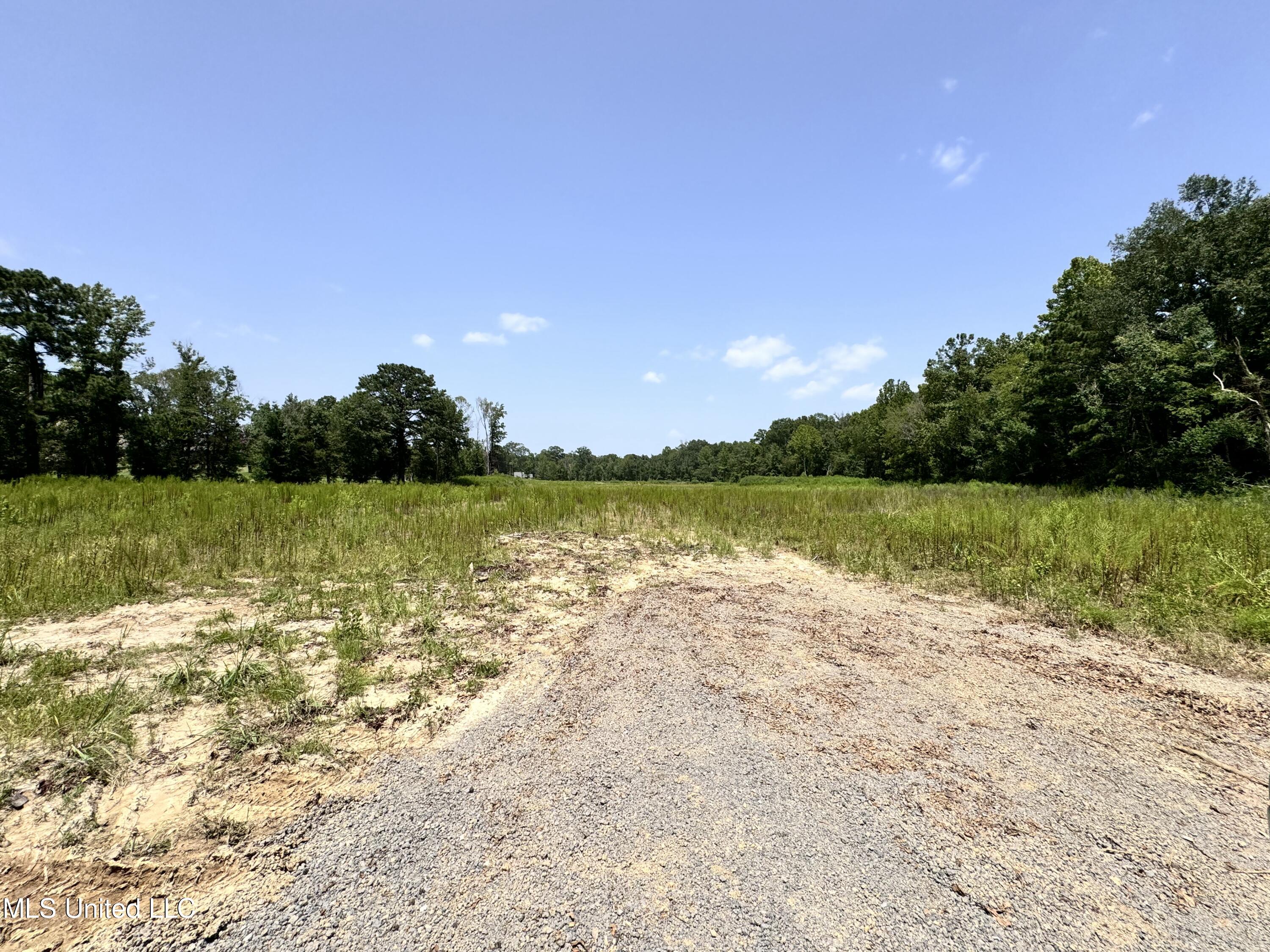 Luckney Road, Brandon, Mississippi image 1