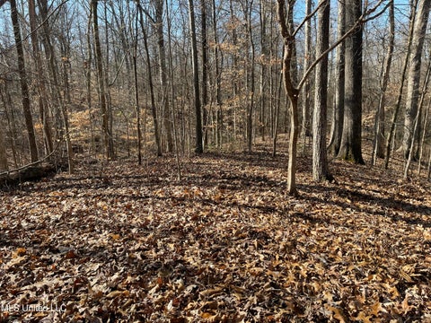 Vacant Land For Sale - 2311 Pocahontas Cove<br/> Hernando, MS 38632
