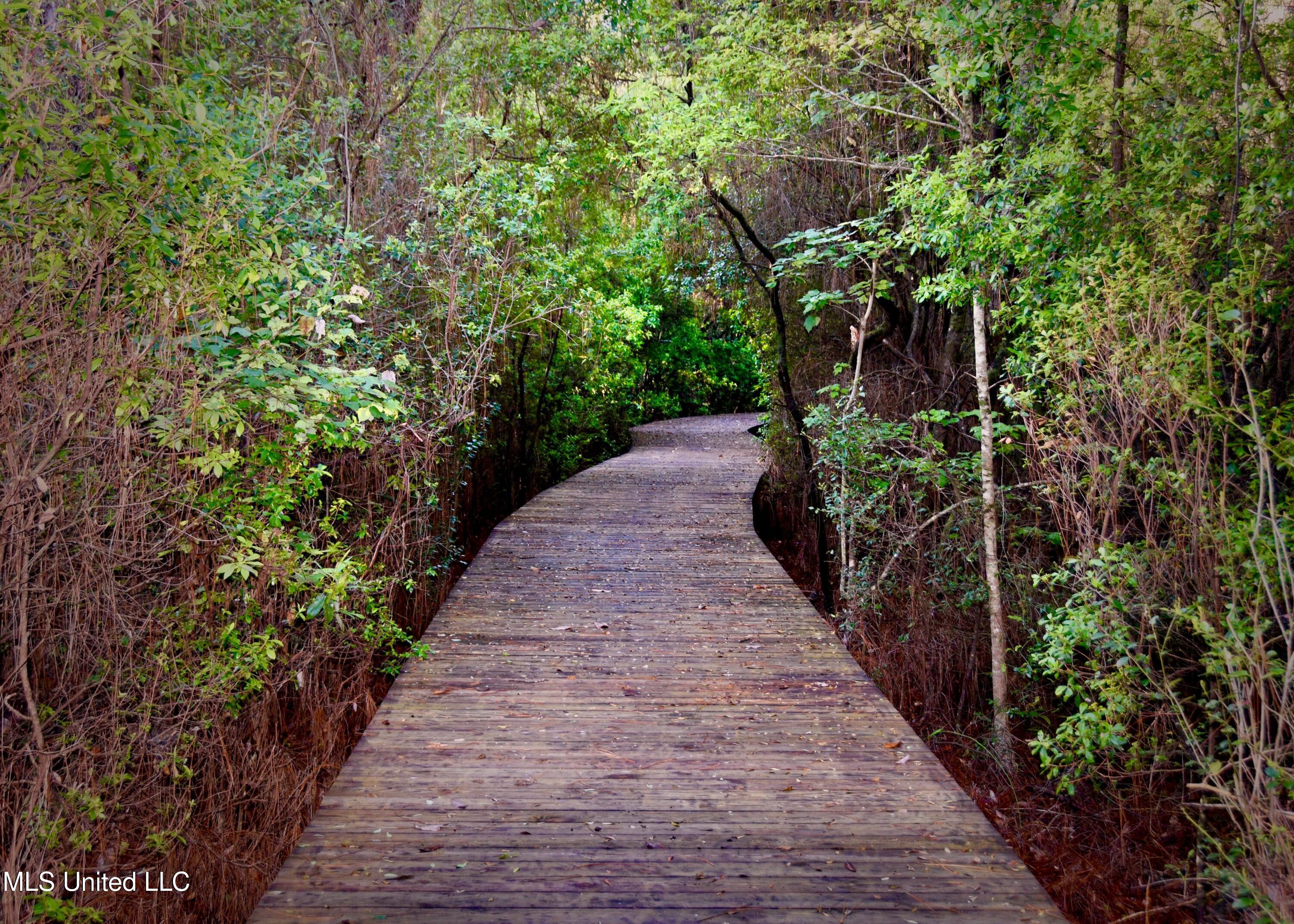 Lot 14 Orchard Street, Gulfport, Mississippi image 14