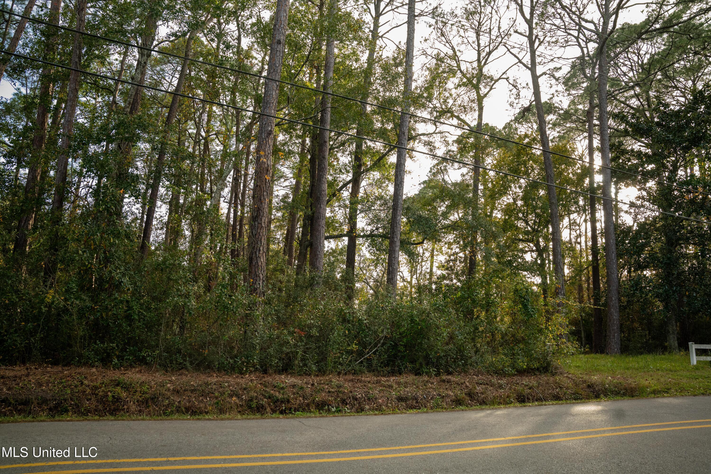 Elm Avenue, Ocean Springs, Mississippi image 2