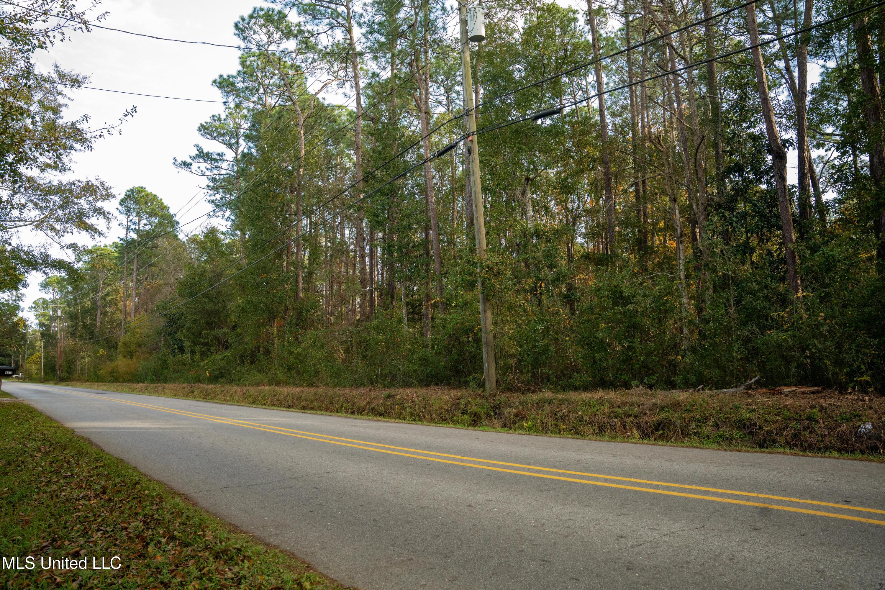 Elm Avenue, Ocean Springs, Mississippi image 3