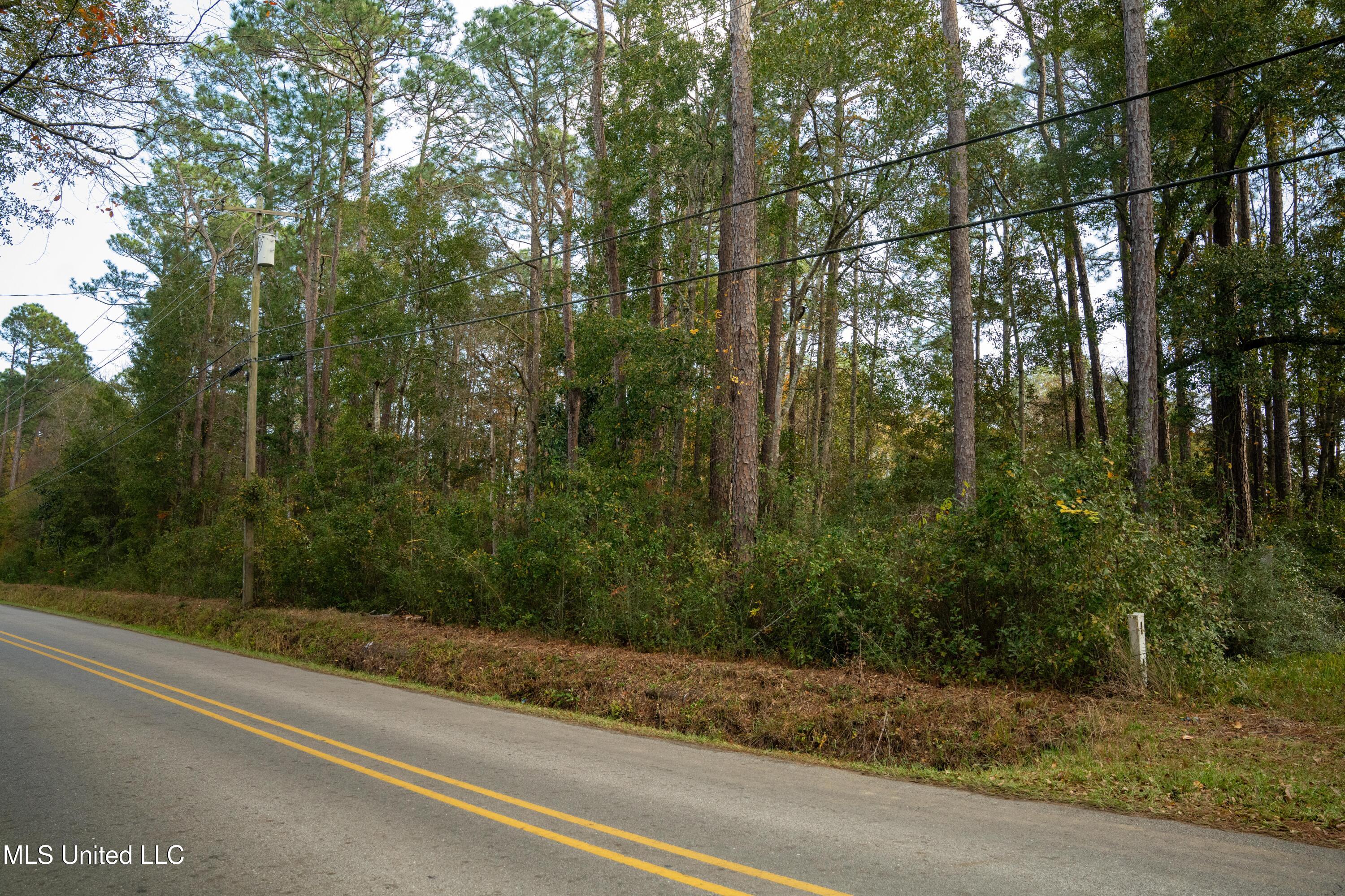 Elm Avenue, Ocean Springs, Mississippi image 4