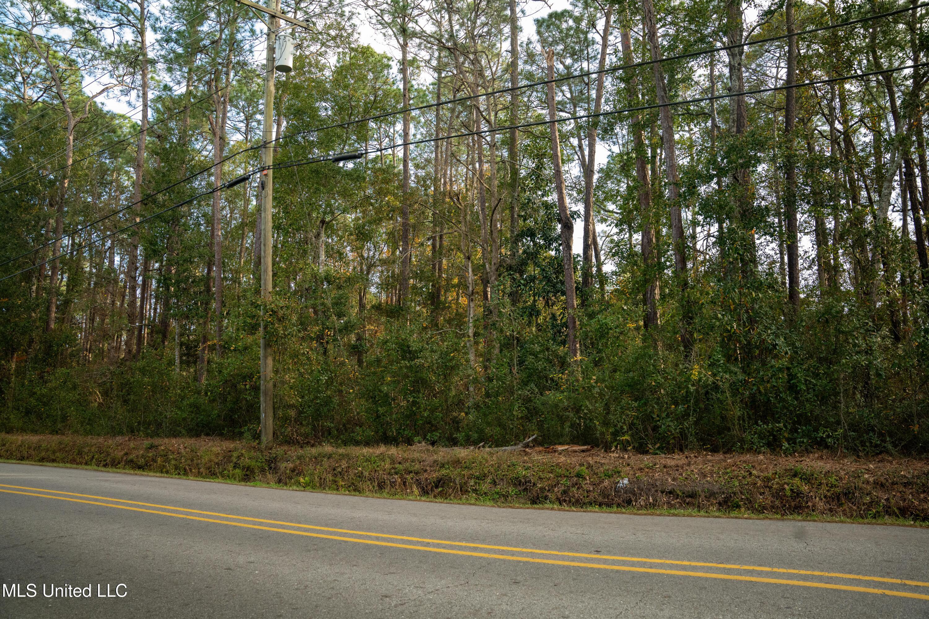 Elm Avenue, Ocean Springs, Mississippi image 5