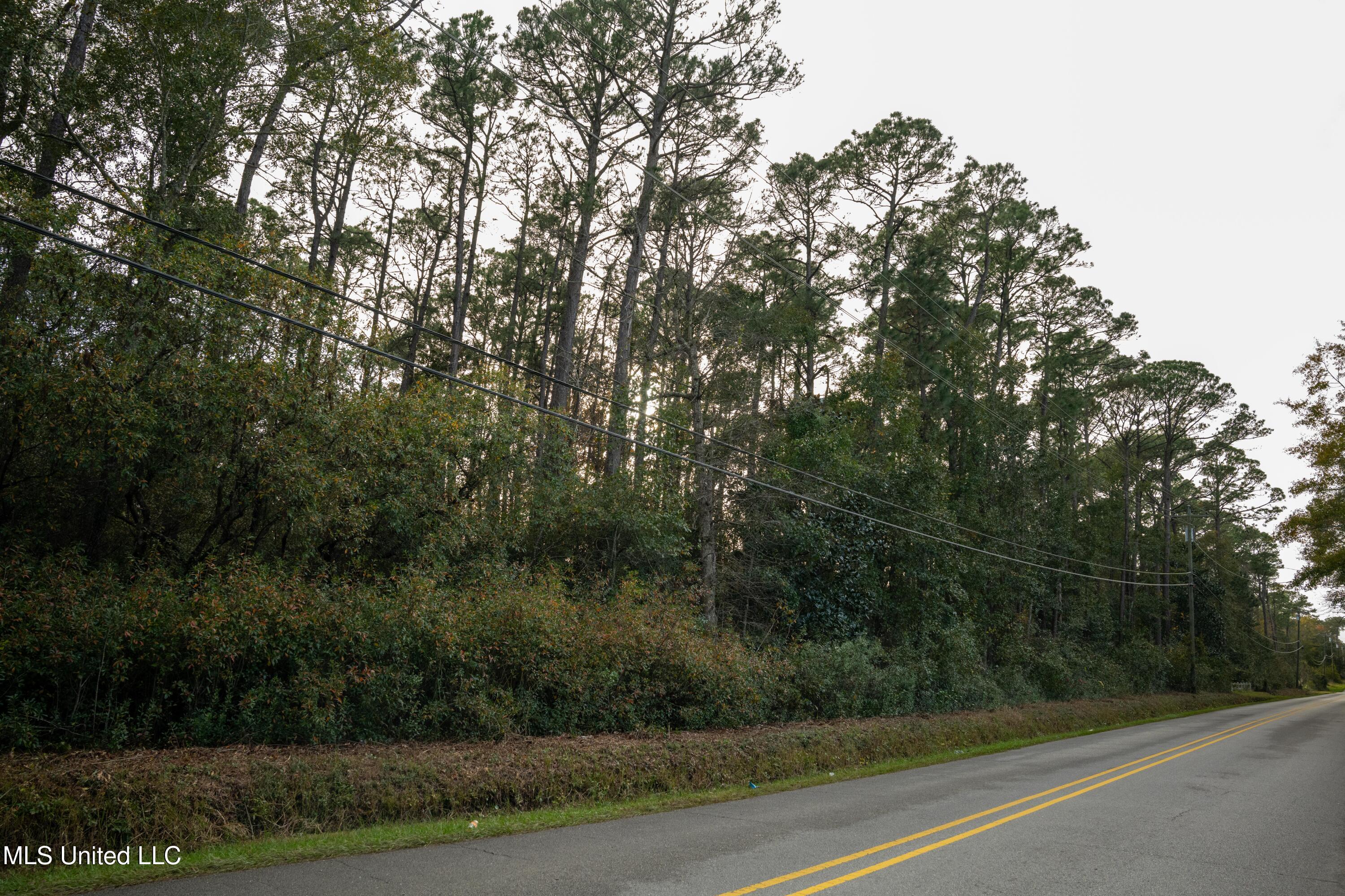 Elm Avenue, Ocean Springs, Mississippi image 6