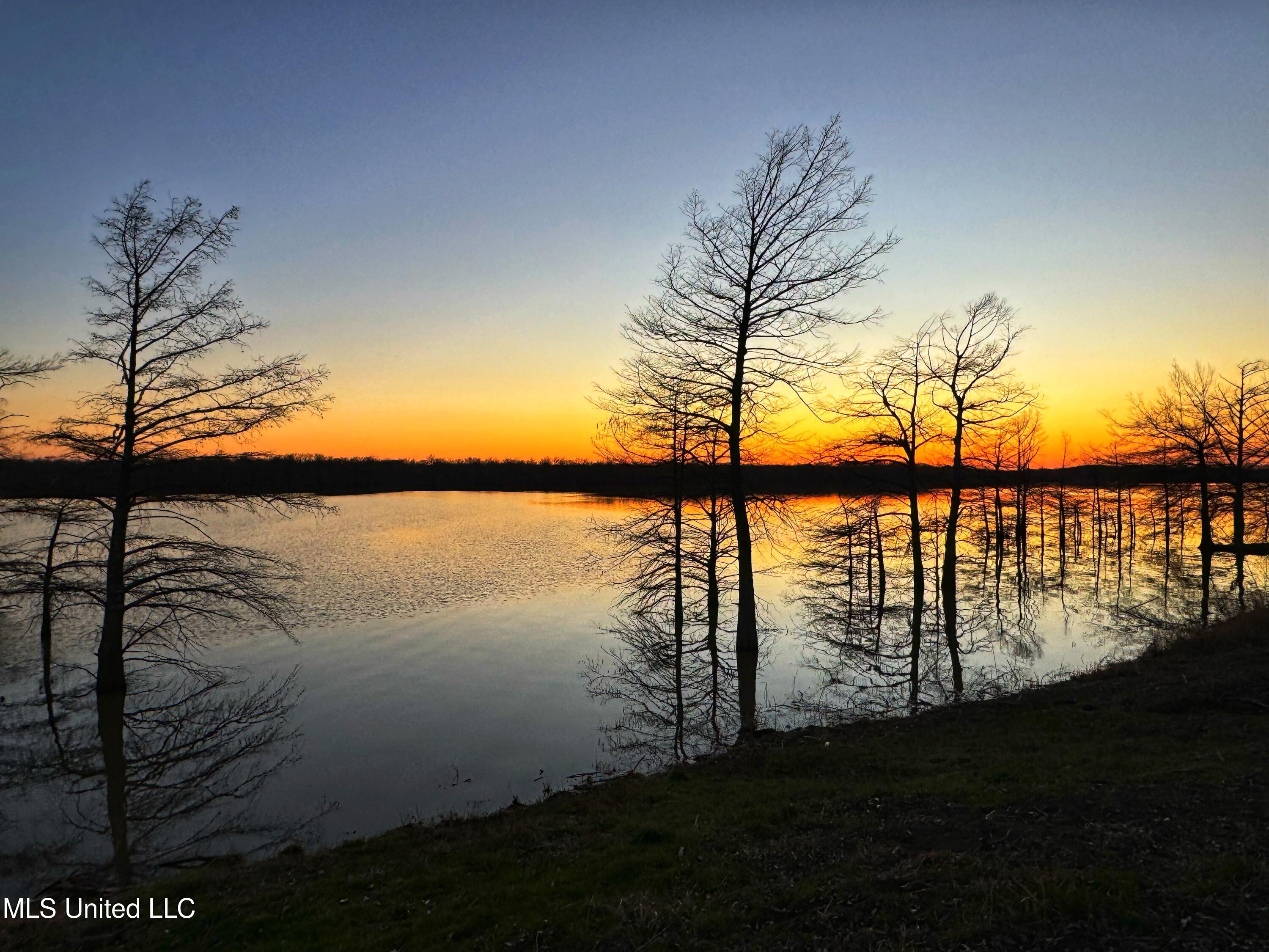 Roland Jones Road Road, Dundee, Mississippi image 16