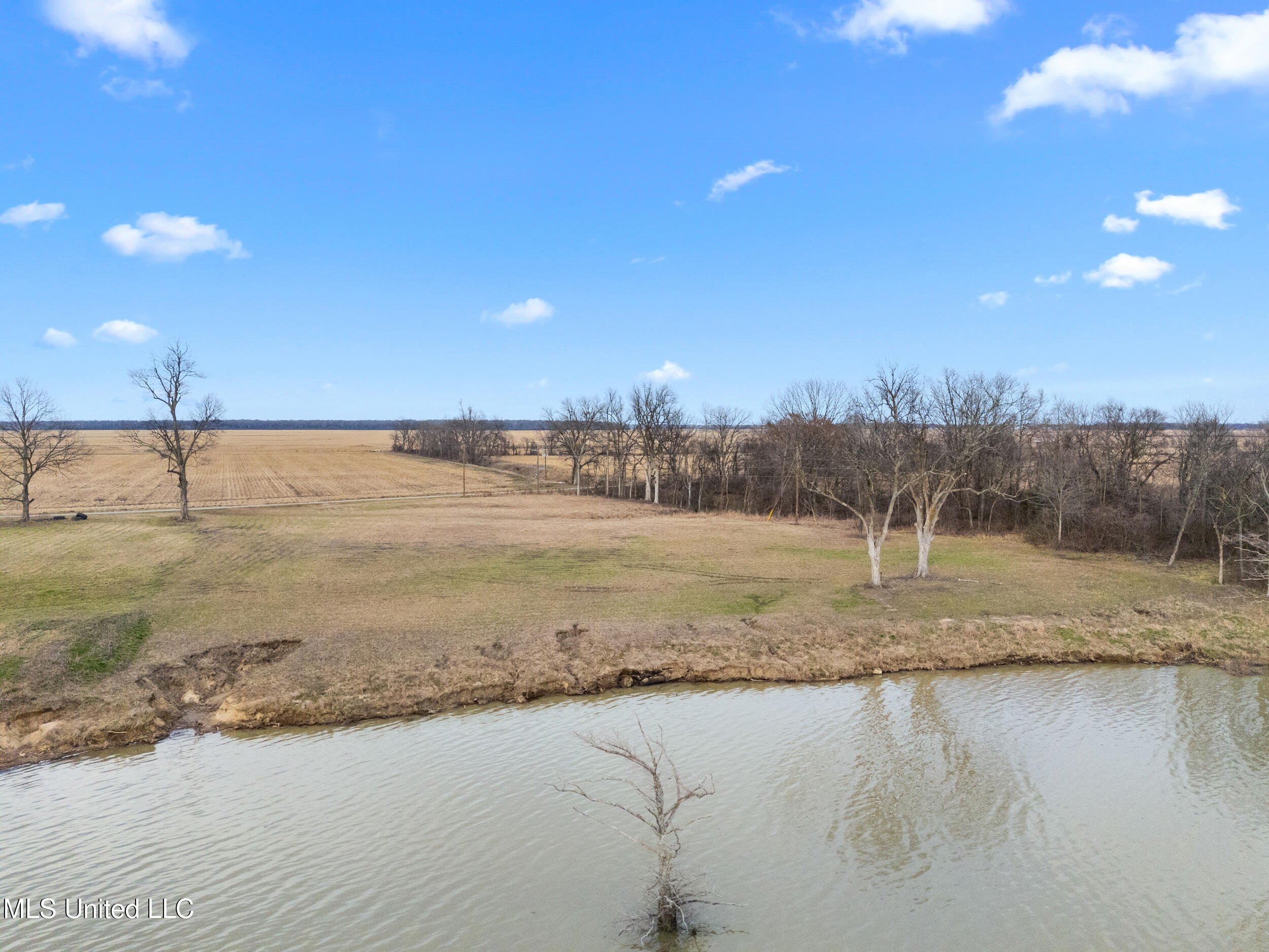 Roland Jones Road Road, Dundee, Mississippi image 4