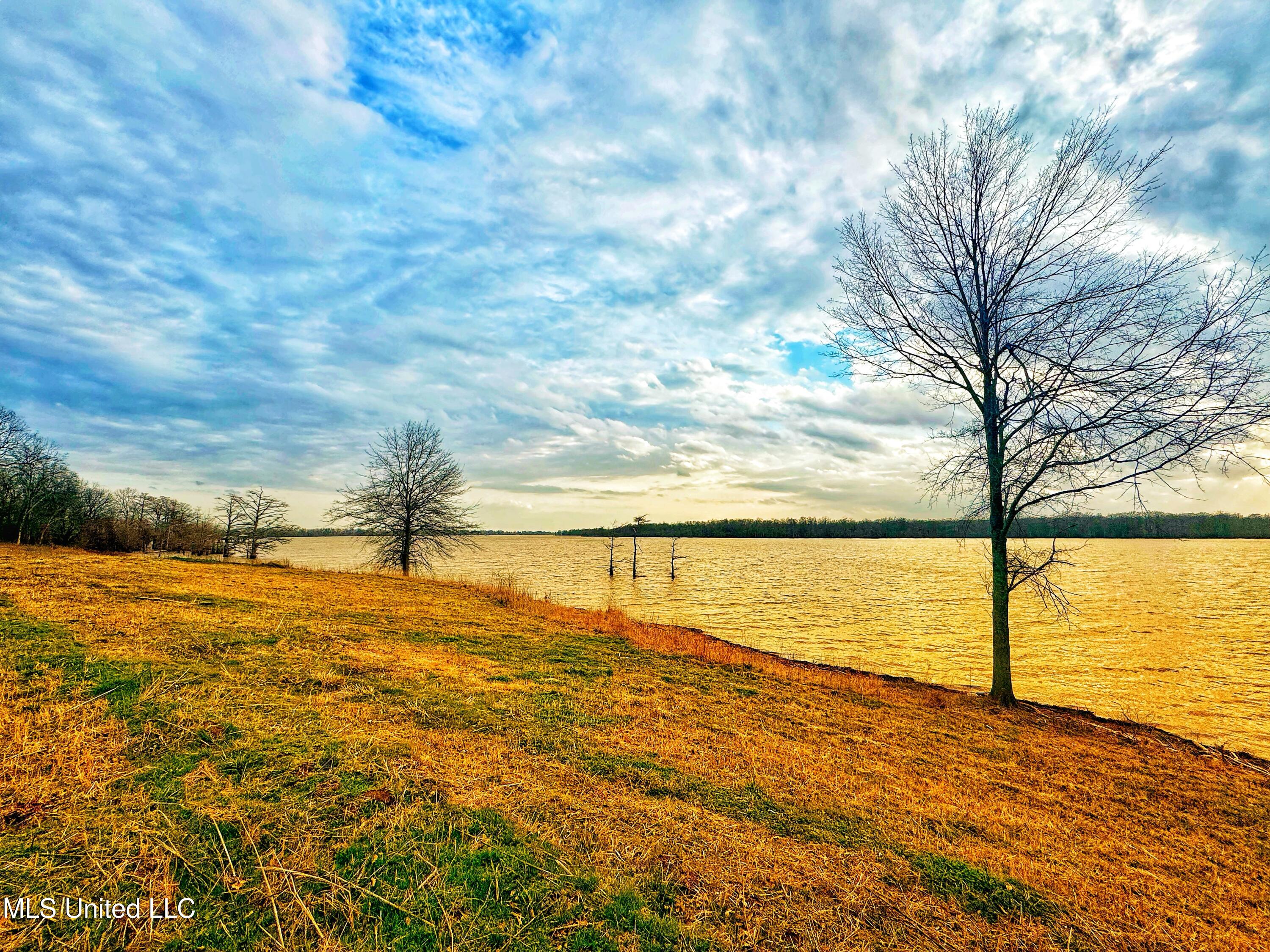Roland Jones Road Road, Dundee, Mississippi image 13