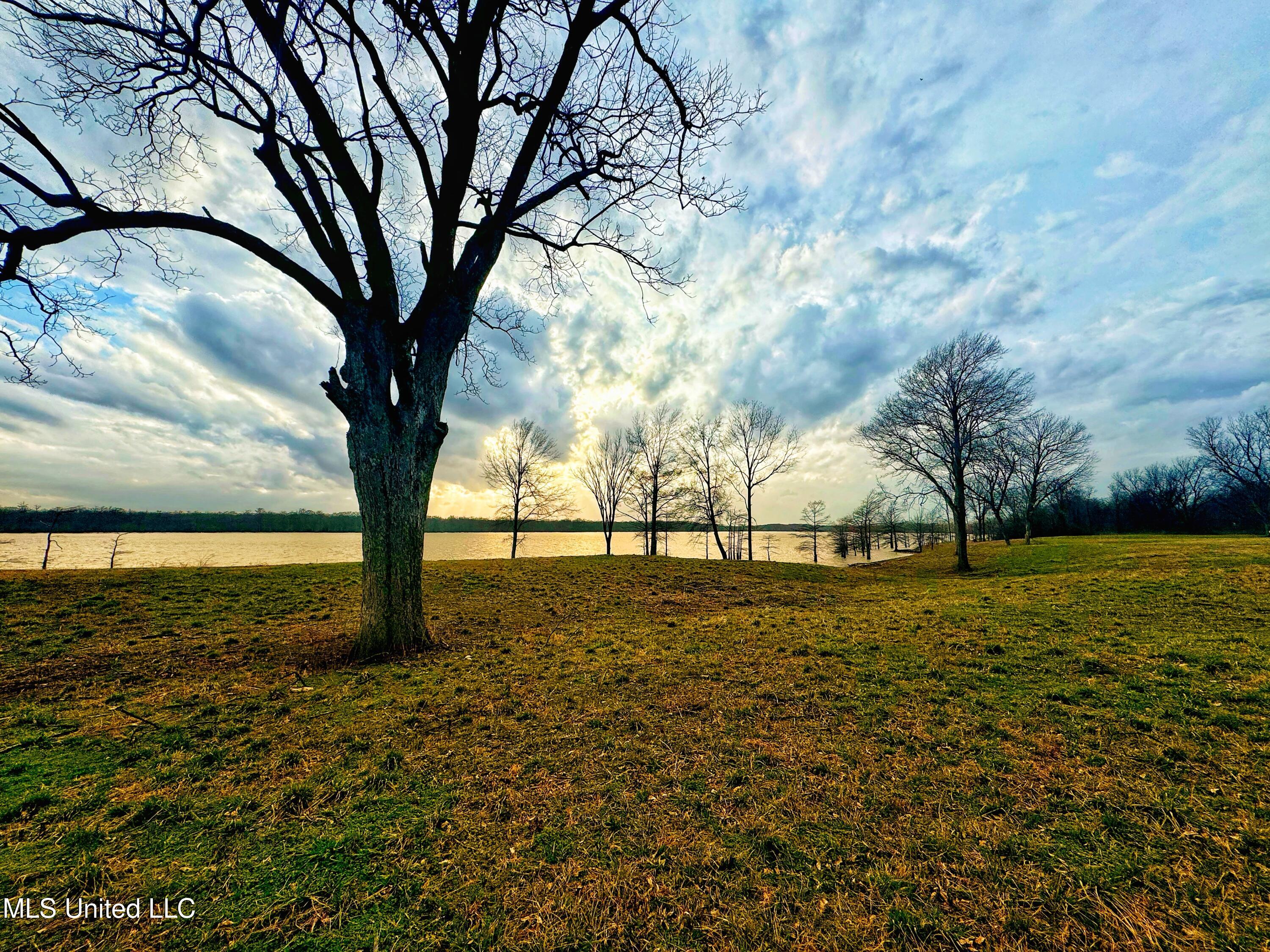 Roland Jones Road Road, Dundee, Mississippi image 14