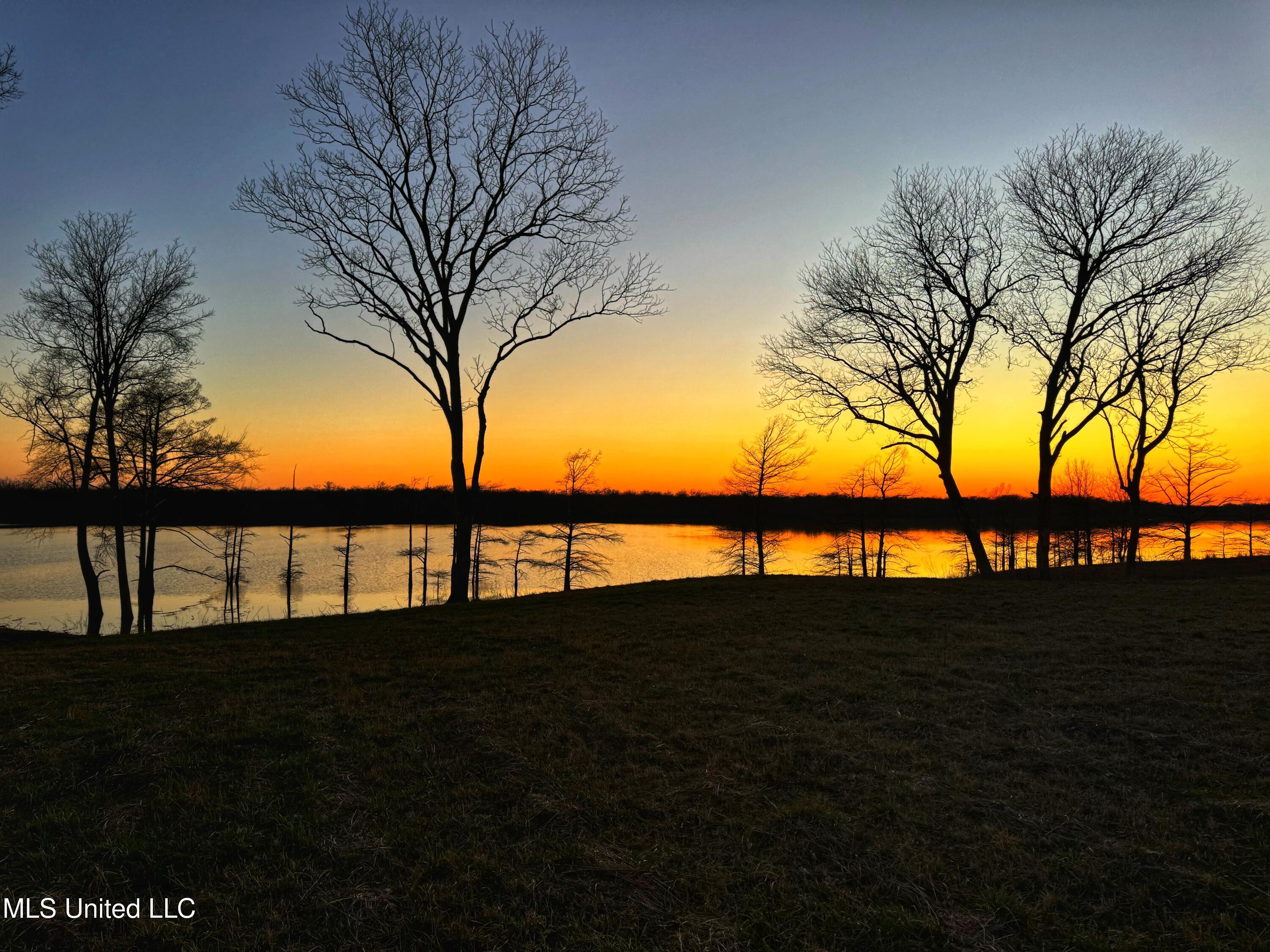Roland Jones Road Road, Dundee, Mississippi image 10