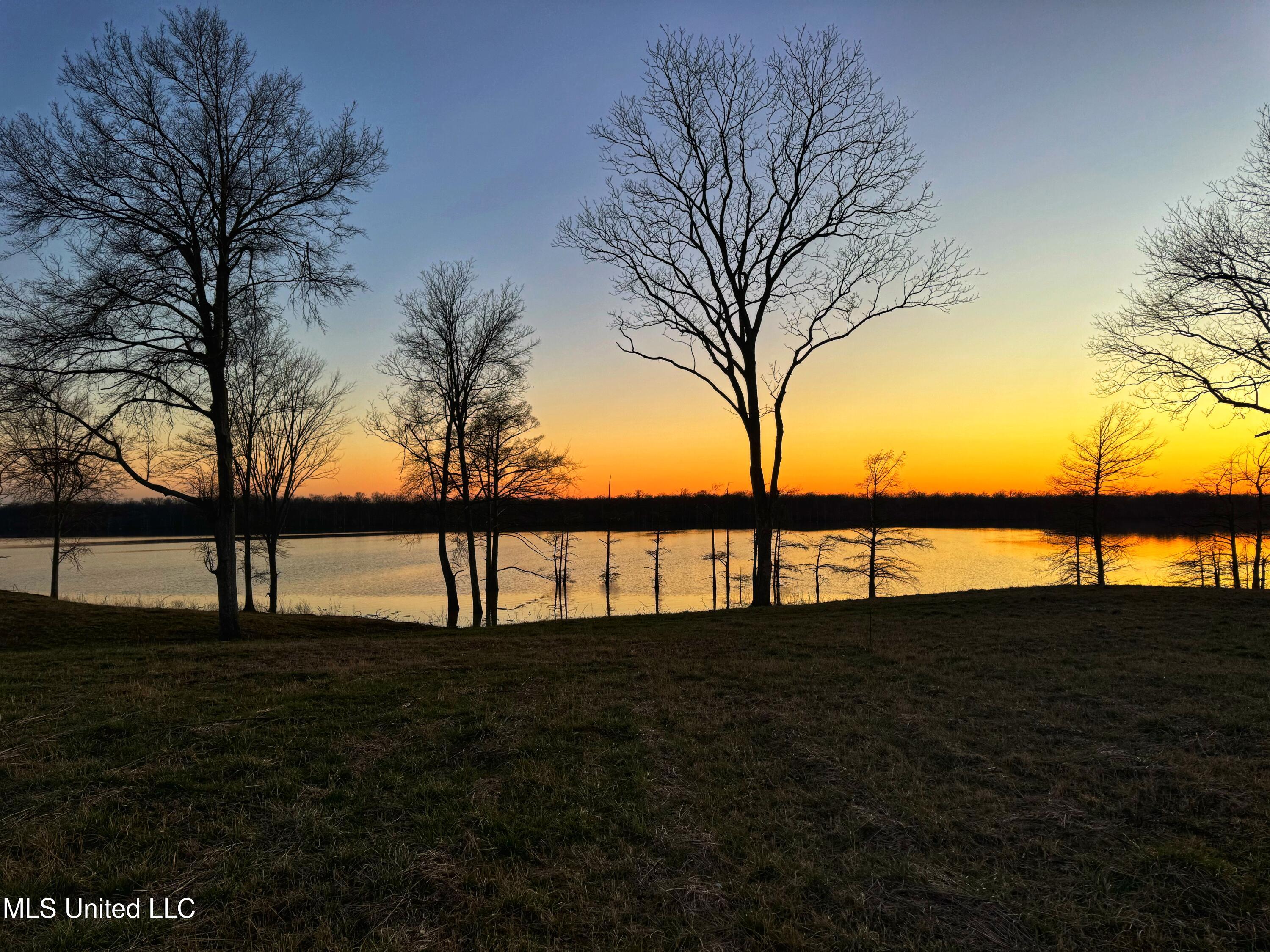 Roland Jones Road Road, Dundee, Mississippi image 2