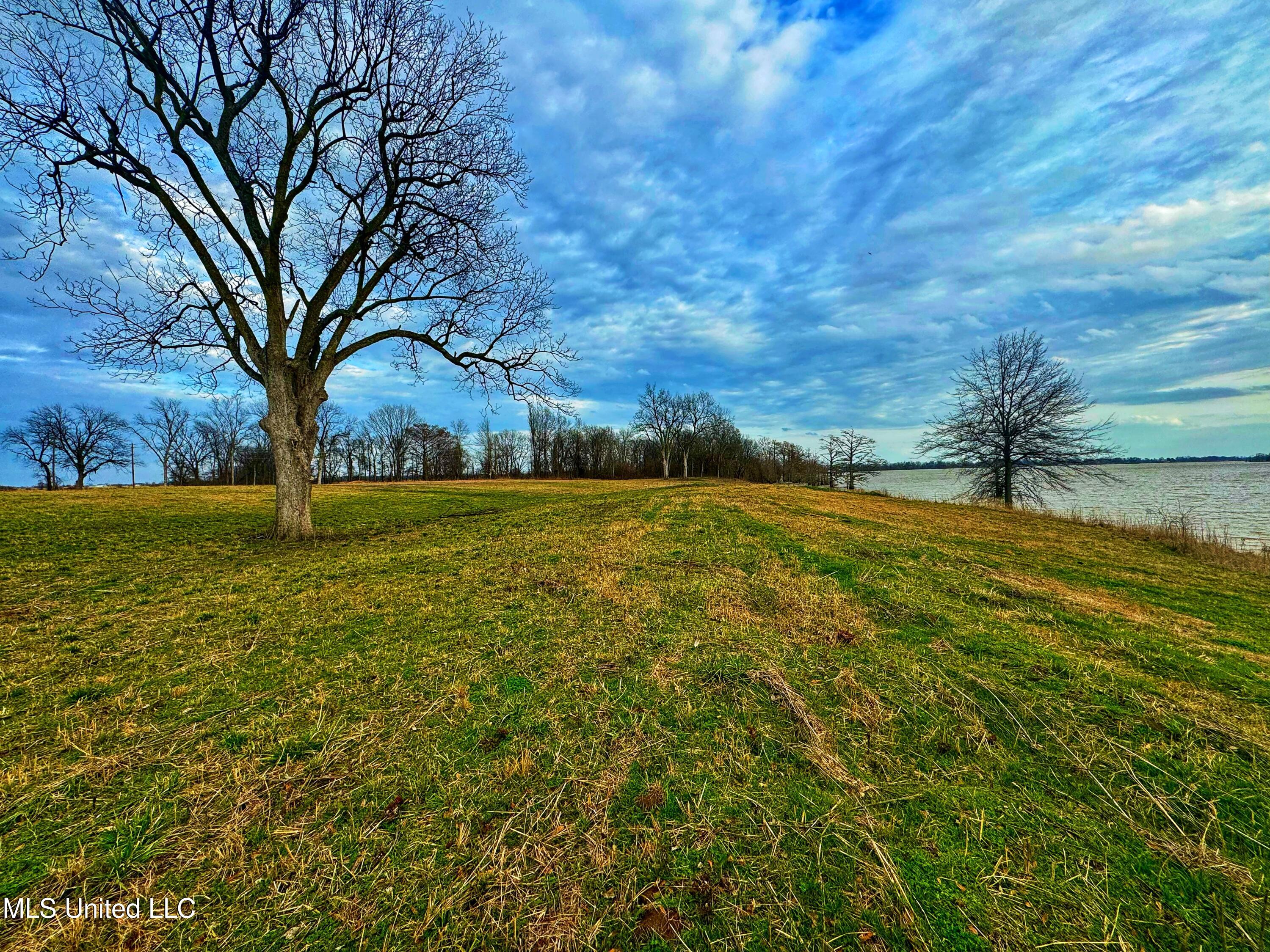 Roland Jones Road Road, Dundee, Mississippi image 9