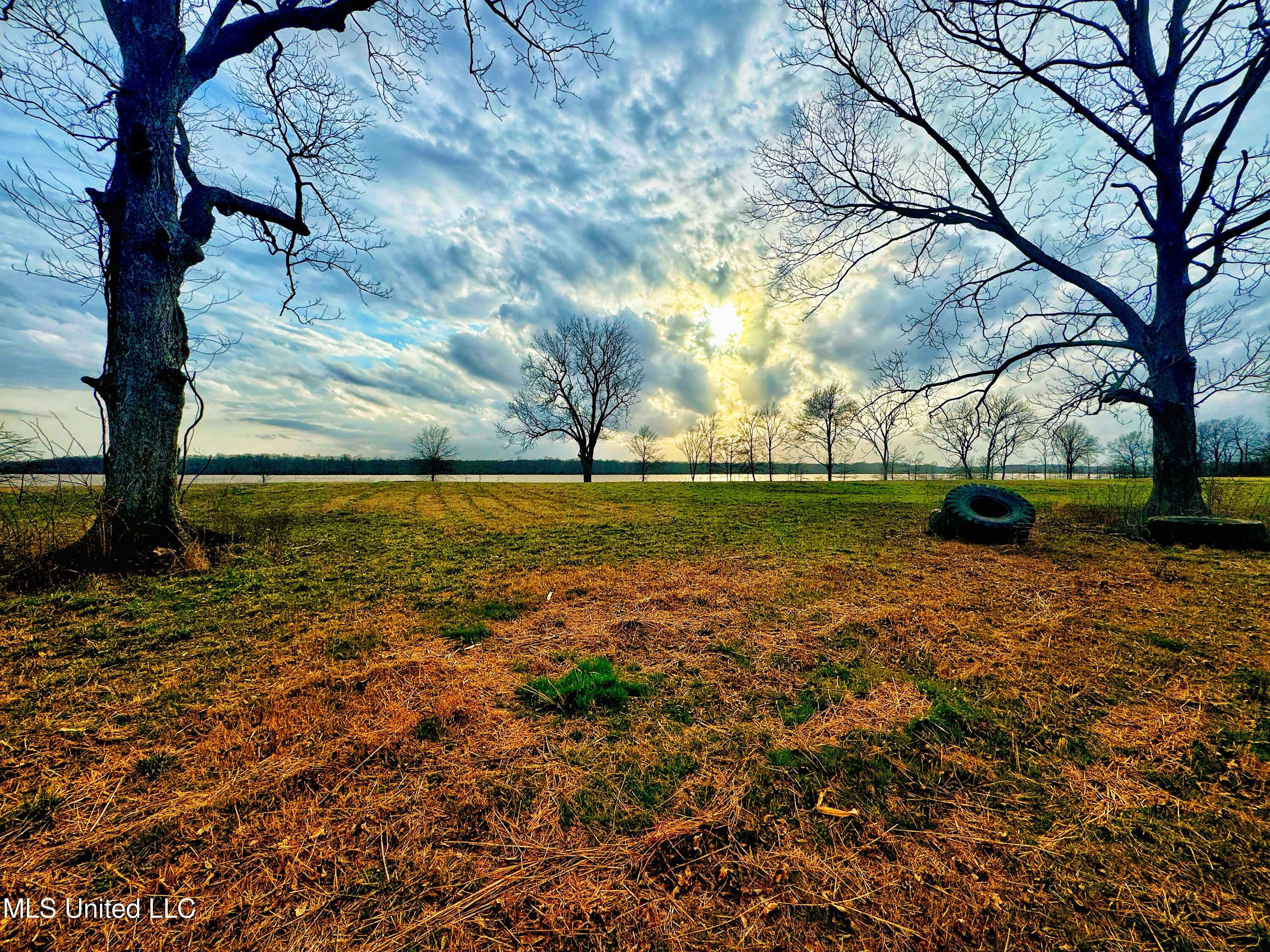 Roland Jones Road Road, Dundee, Mississippi image 15