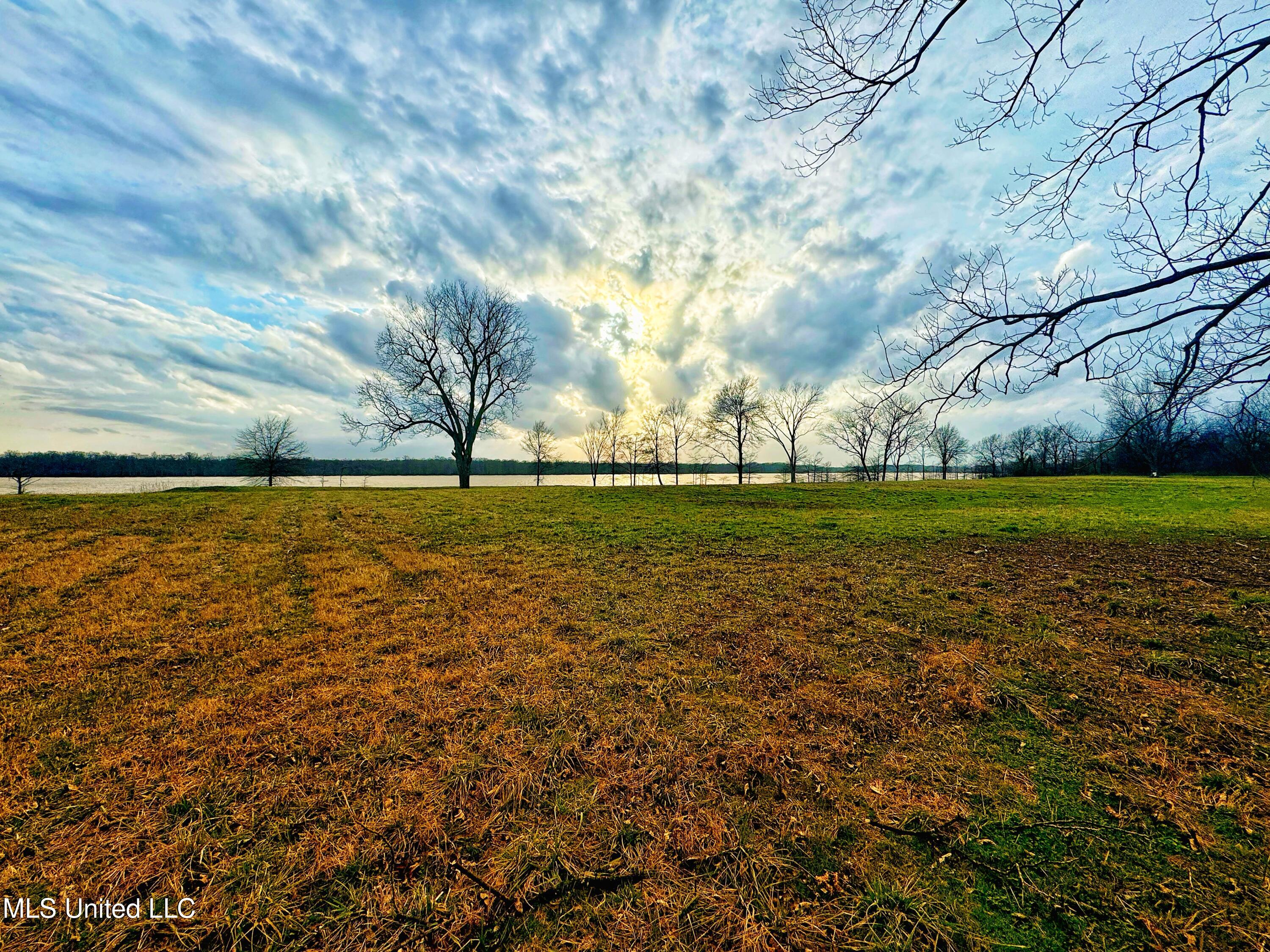 Roland Jones Road Road, Dundee, Mississippi image 12