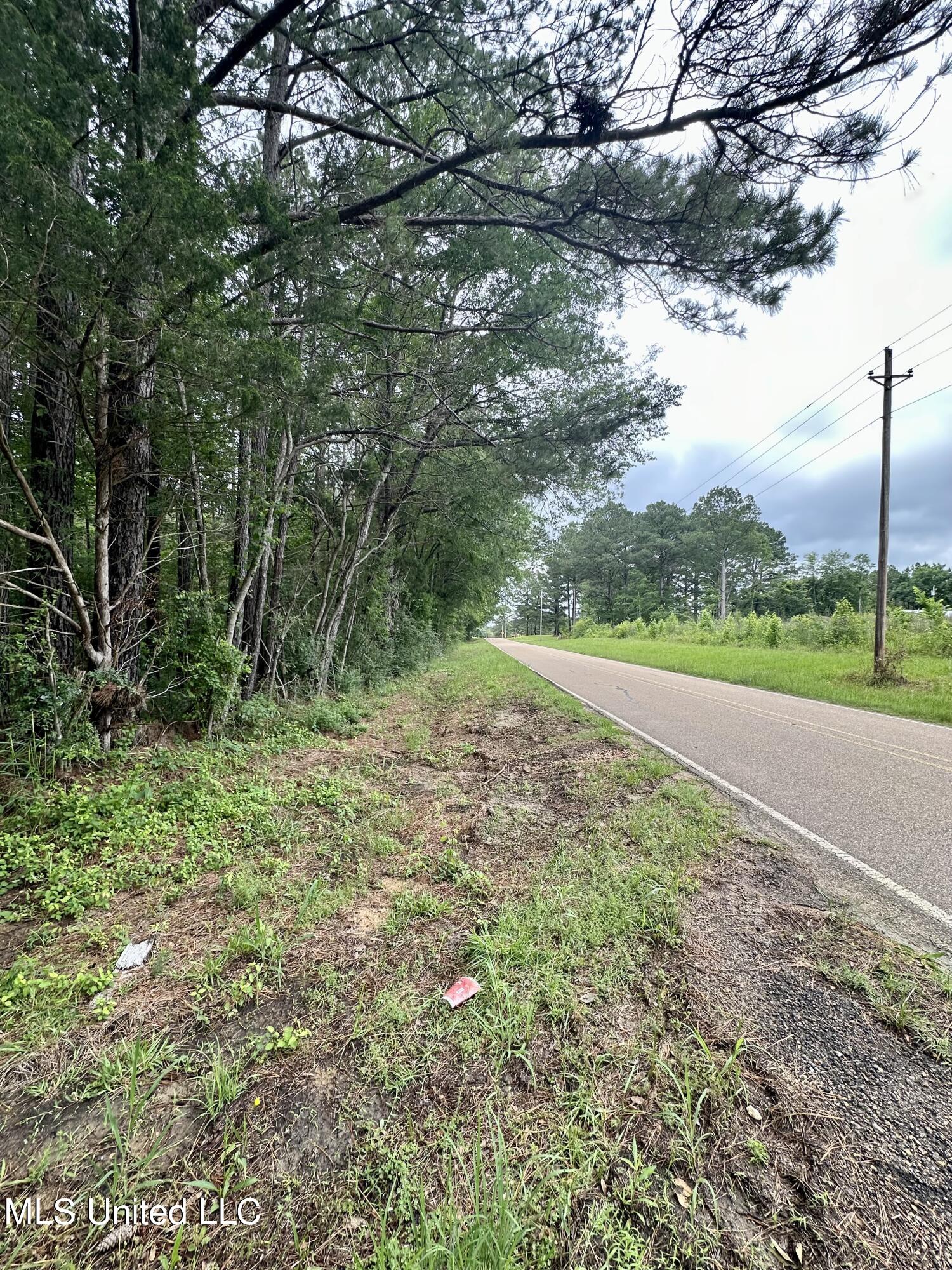 Ratliff Ferry Road, Canton, Mississippi image 3