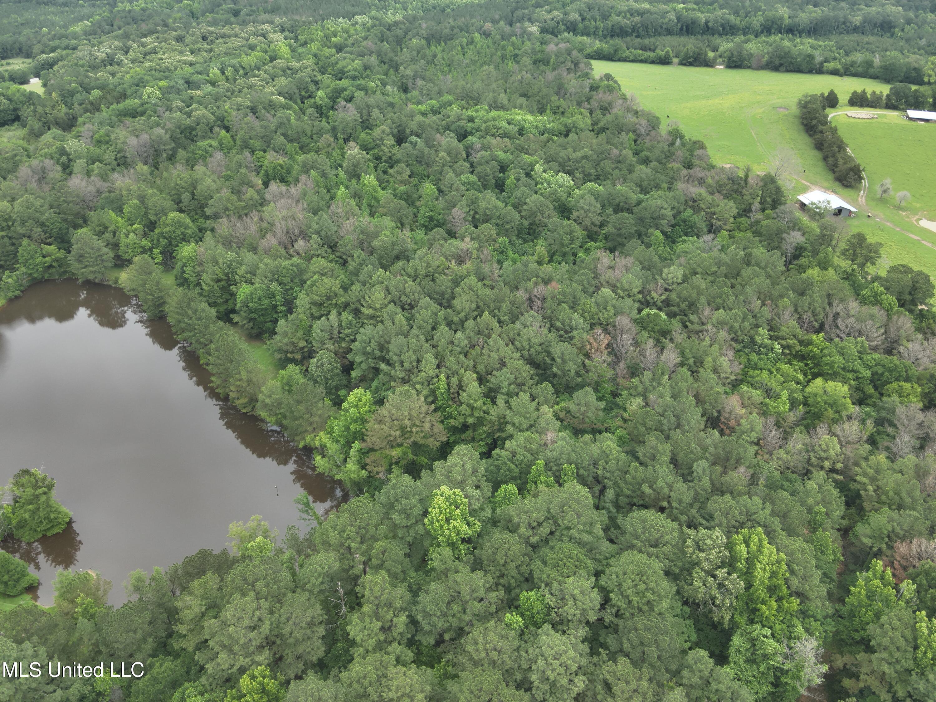 Ratliff Ferry Road, Canton, Mississippi image 1