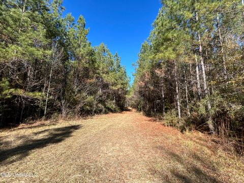 Vacant Land For Sale - . Dwain Road<br/> Amite County, Magnolia, MS 39652