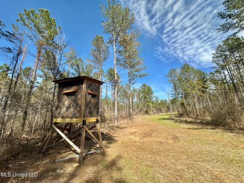 Vacant Land For Sale - 1 Prentiss Crump Road<br/> Terry, MS 39170