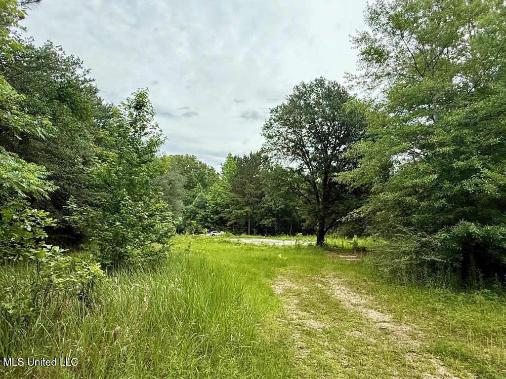 6844 Hwy 43 N, Poplarville, Mississippi image 2
