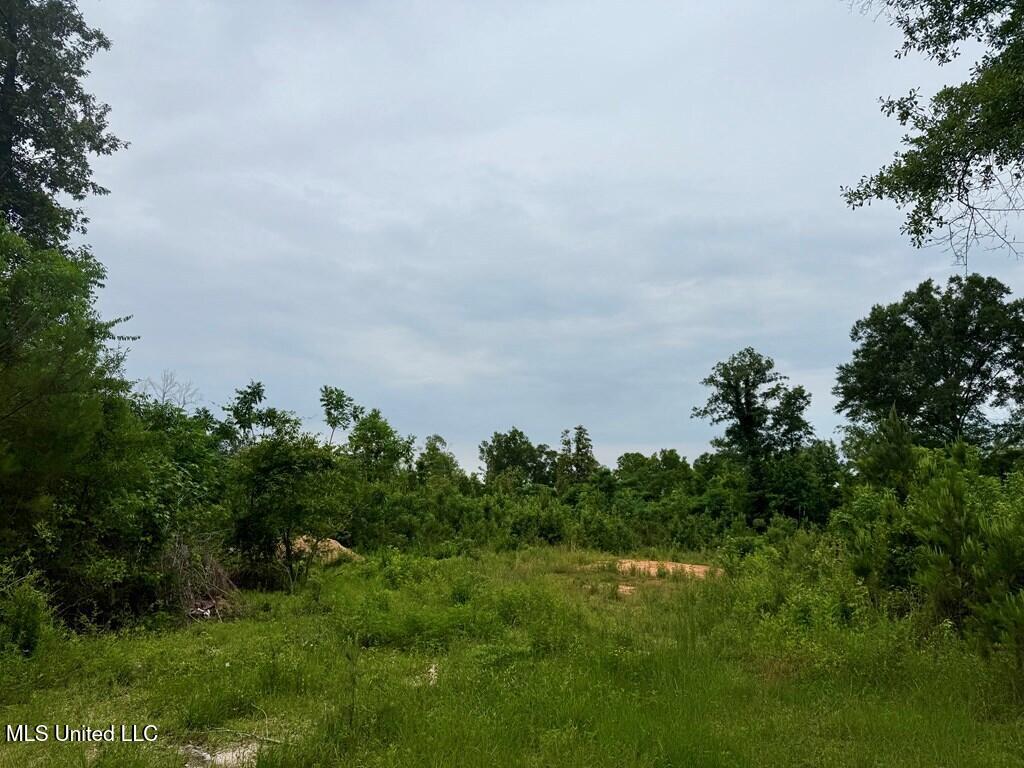 6844 Hwy 43 N, Poplarville, Mississippi image 4