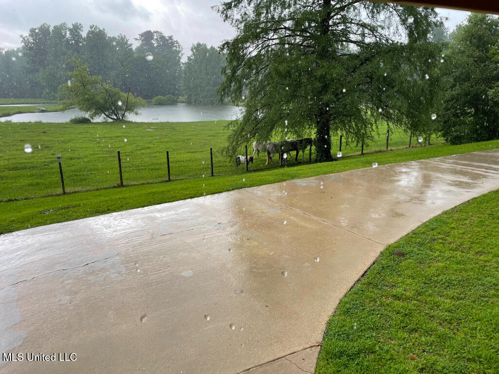 16785 Highway 503, Decatur, Mississippi image 26