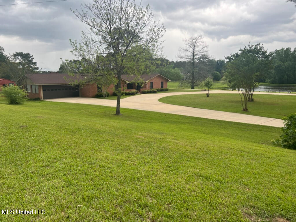 16785 Highway 503, Decatur, Mississippi image 1