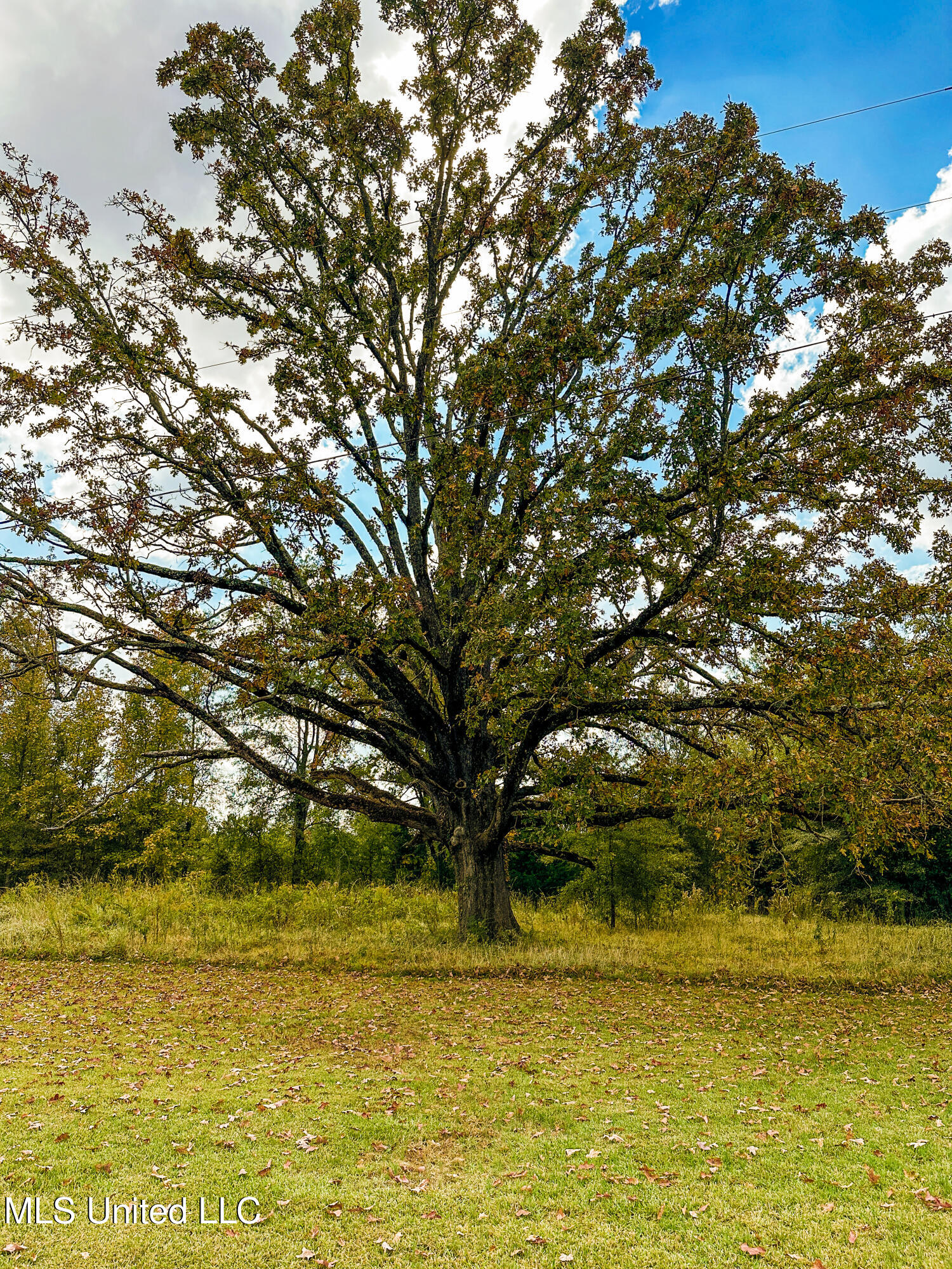 67 Highway 505, Lawrence, Mississippi image 33