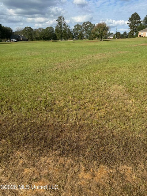 Vacant Land For Sale - Twin Oaks<br/> McComb, MS 39648
