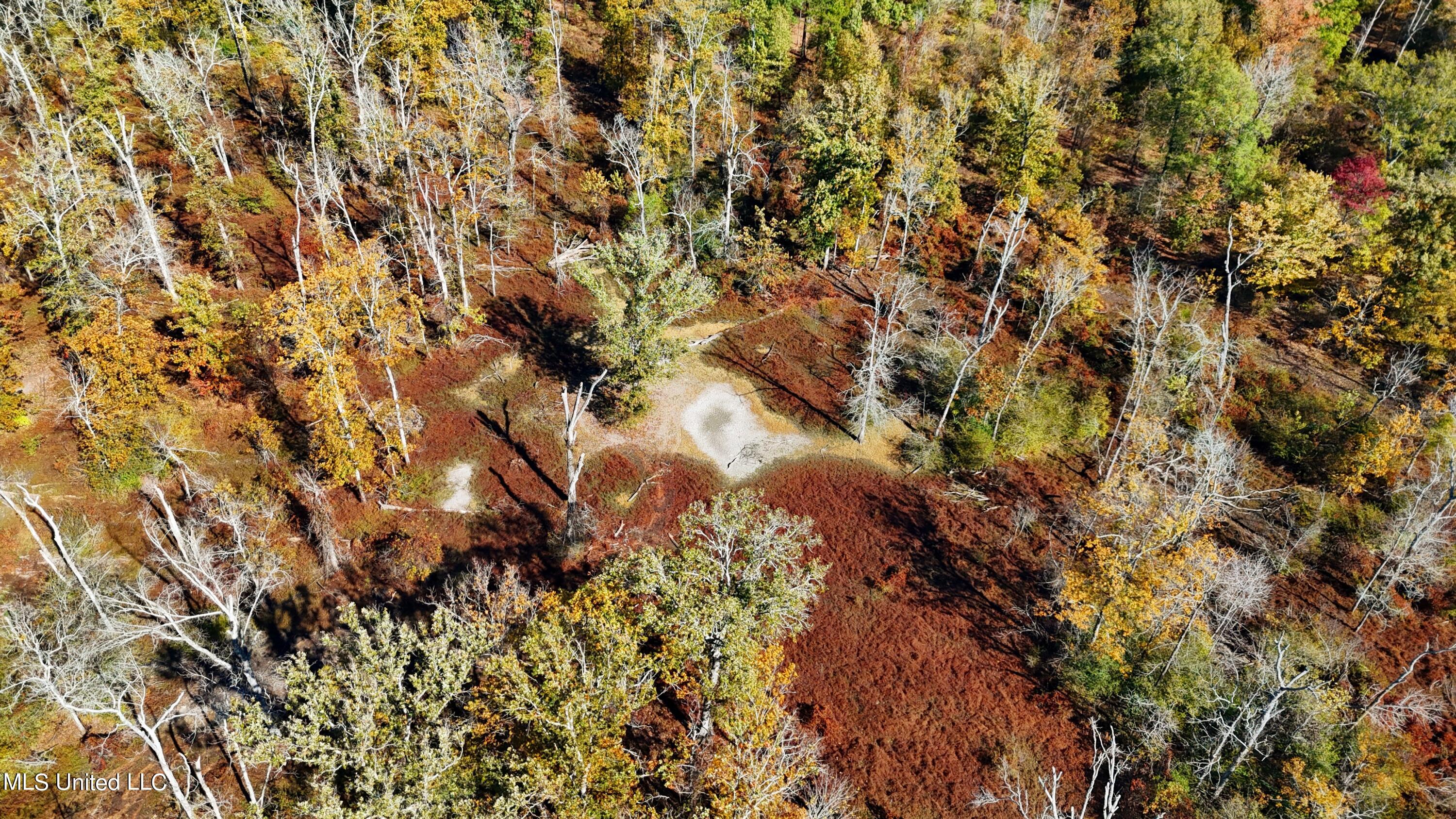 Forty Mile Bend Road, Minter City, Mississippi image 13