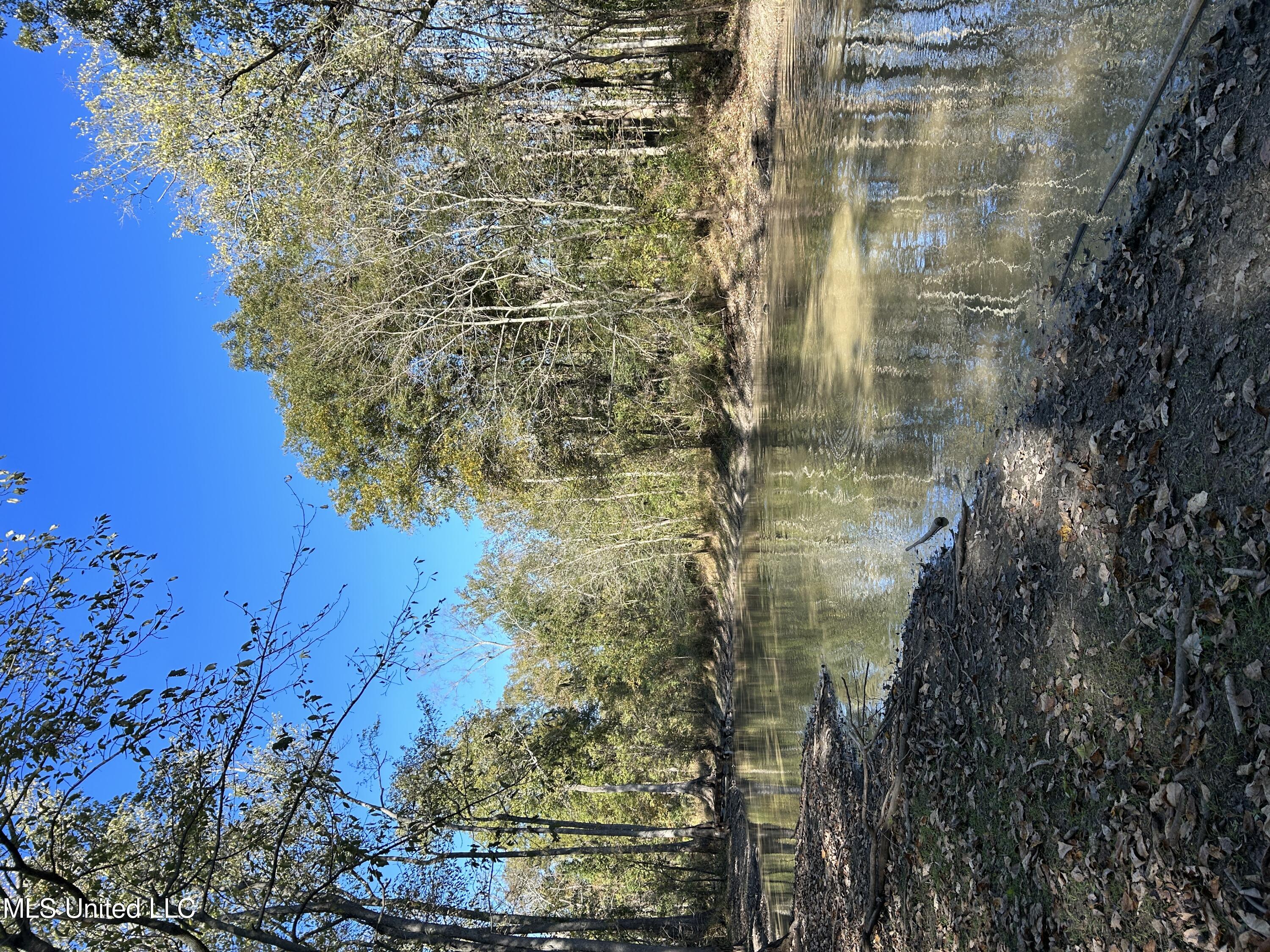 Forty Mile Bend Road, Minter City, Mississippi image 3