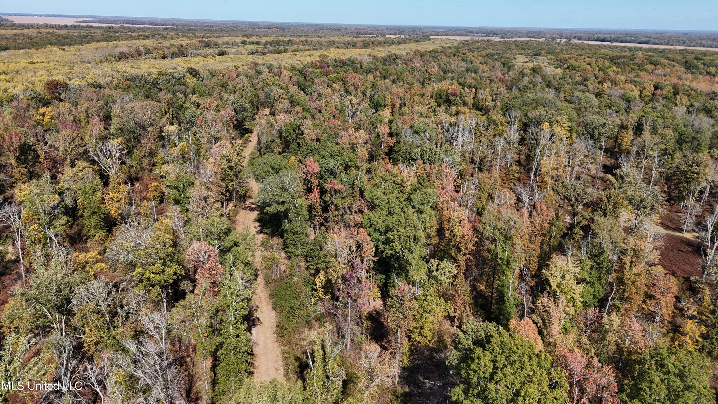 Forty Mile Bend Road, Minter City, Mississippi image 6