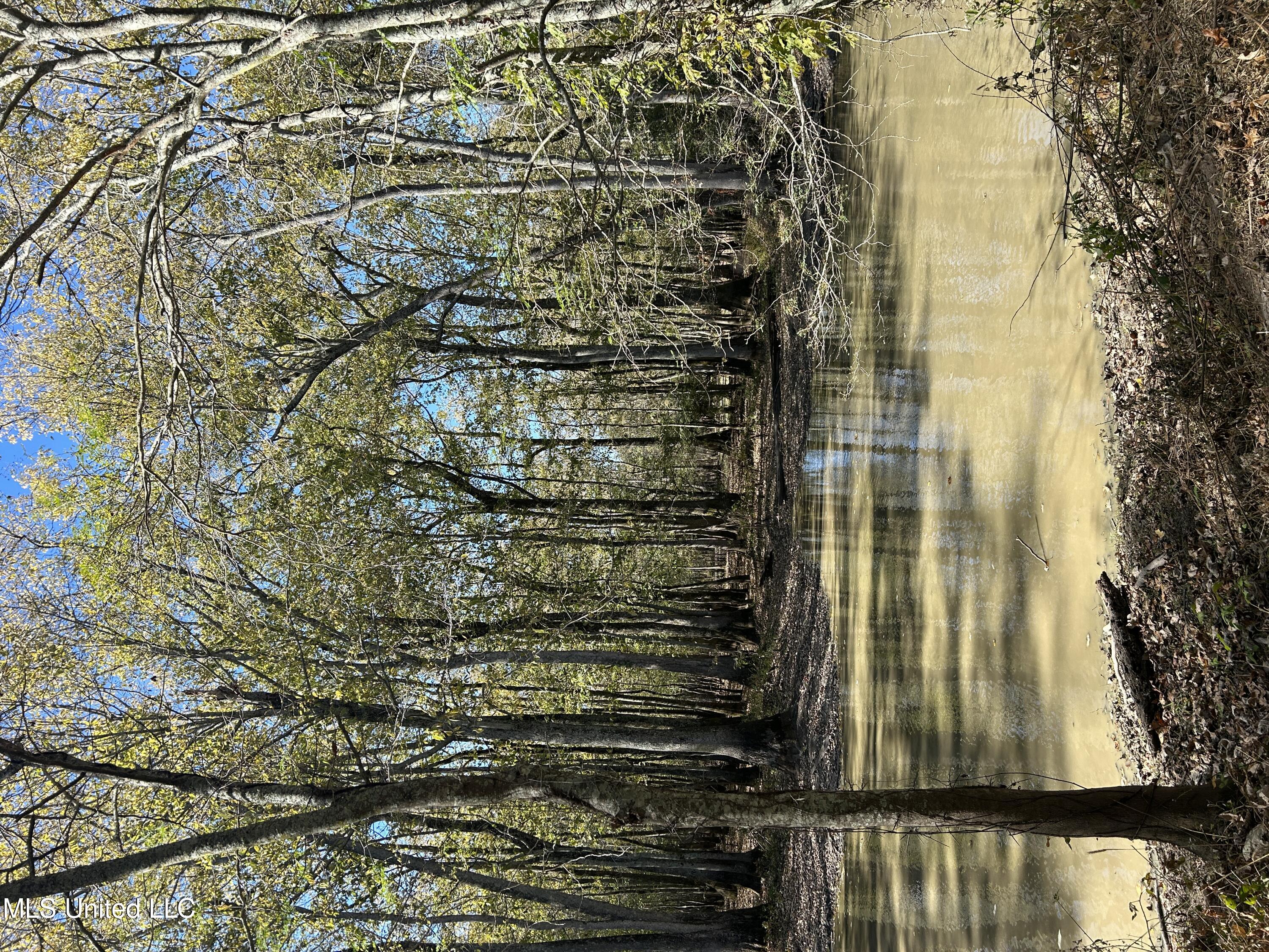 Forty Mile Bend Road, Minter City, Mississippi image 23