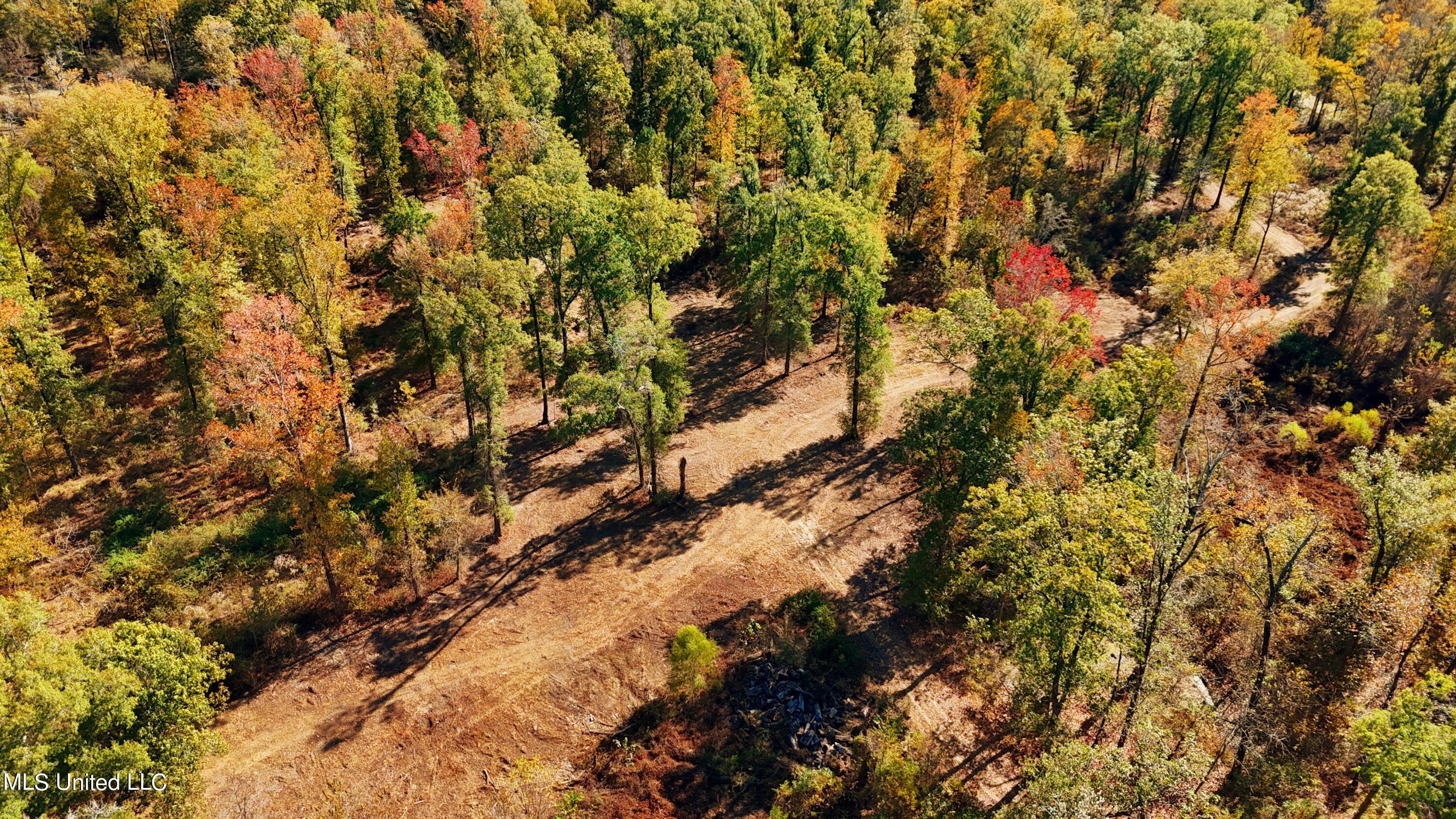 Forty Mile Bend Road, Minter City, Mississippi image 10