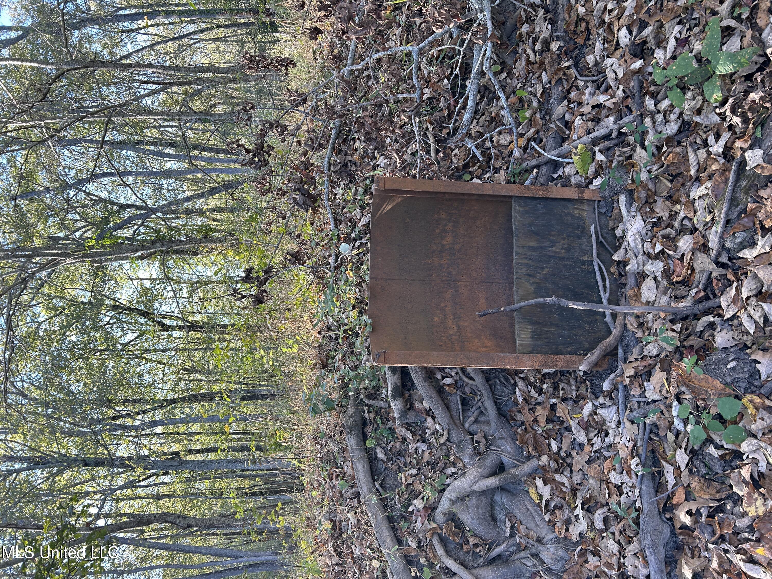 Forty Mile Bend Road, Minter City, Mississippi image 4