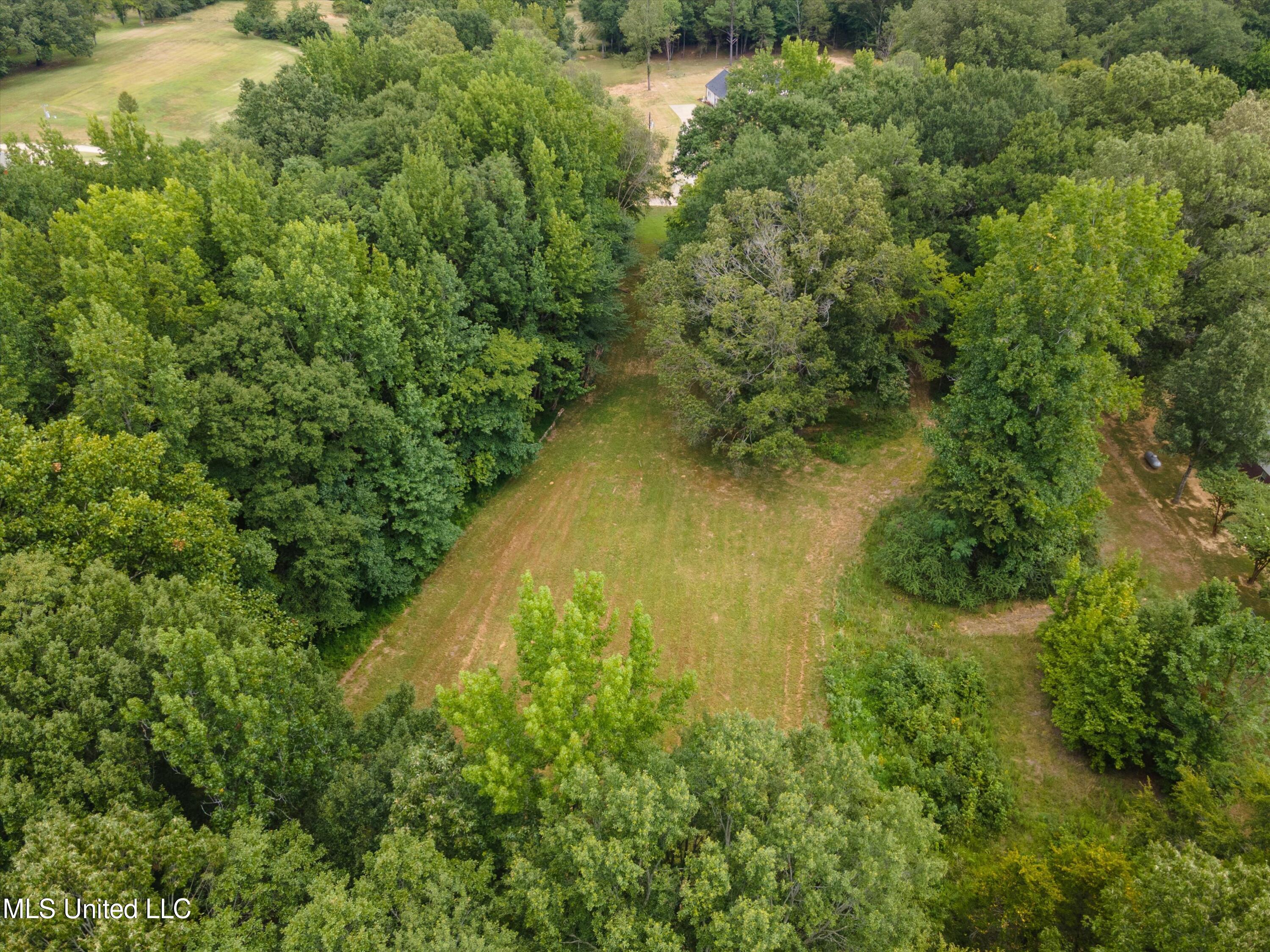 Lot 2. 399 Hwy 305 S, Olive Branch, Mississippi image 4