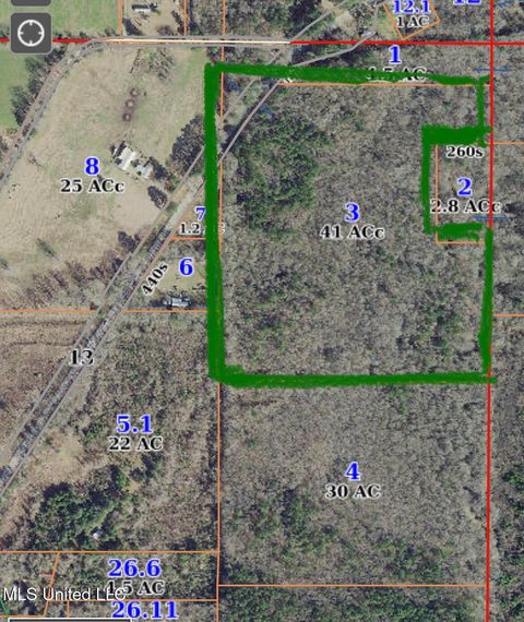 Vacant Land For Sale - N Ms-13 Highway<br/> Lena, MS 39094