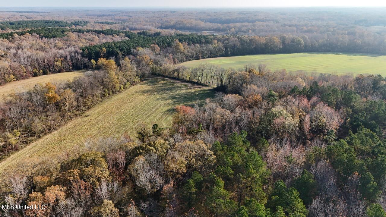 8 Mill Pond Road, Lamar, Mississippi image 9