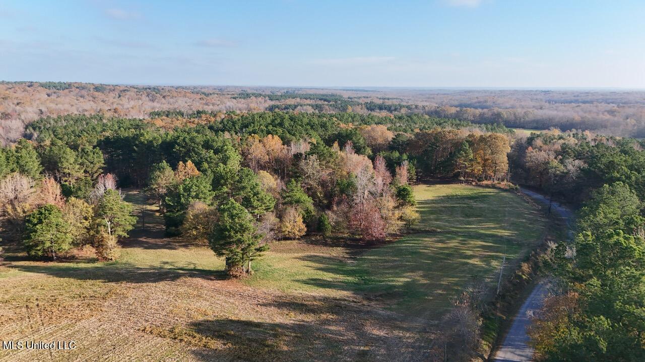 8 Mill Pond Road, Lamar, Mississippi image 2